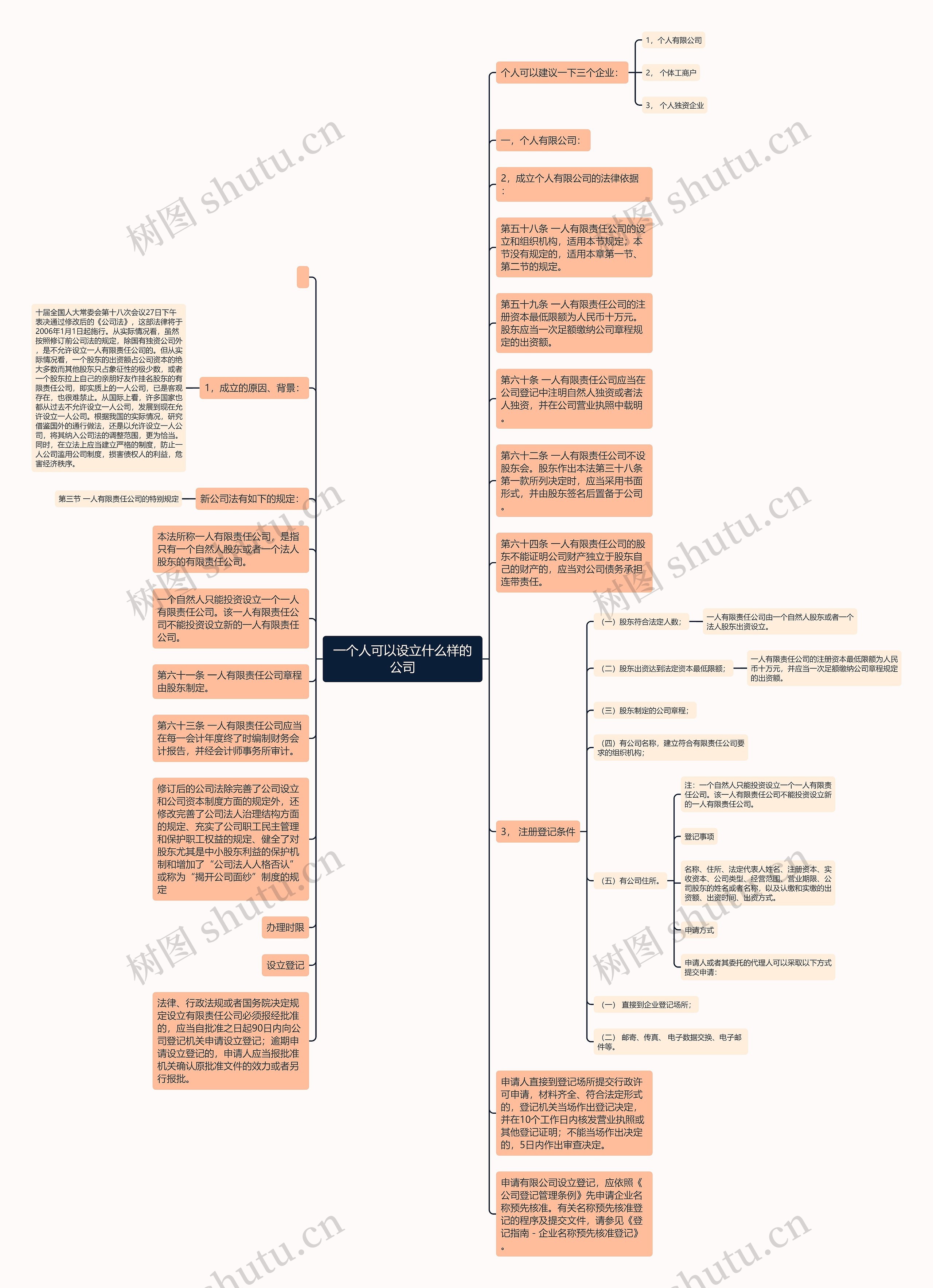 一个人可以设立什么样的公司思维导图