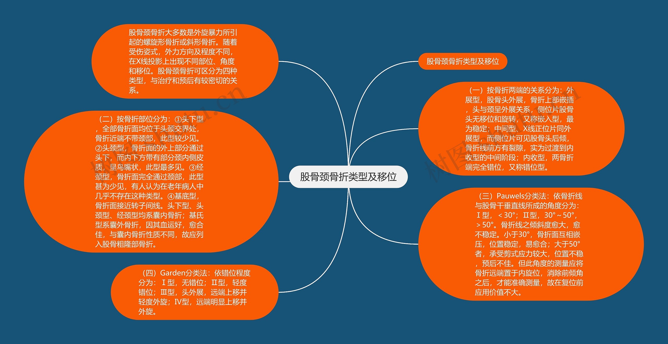 股骨颈骨折类型及移位思维导图