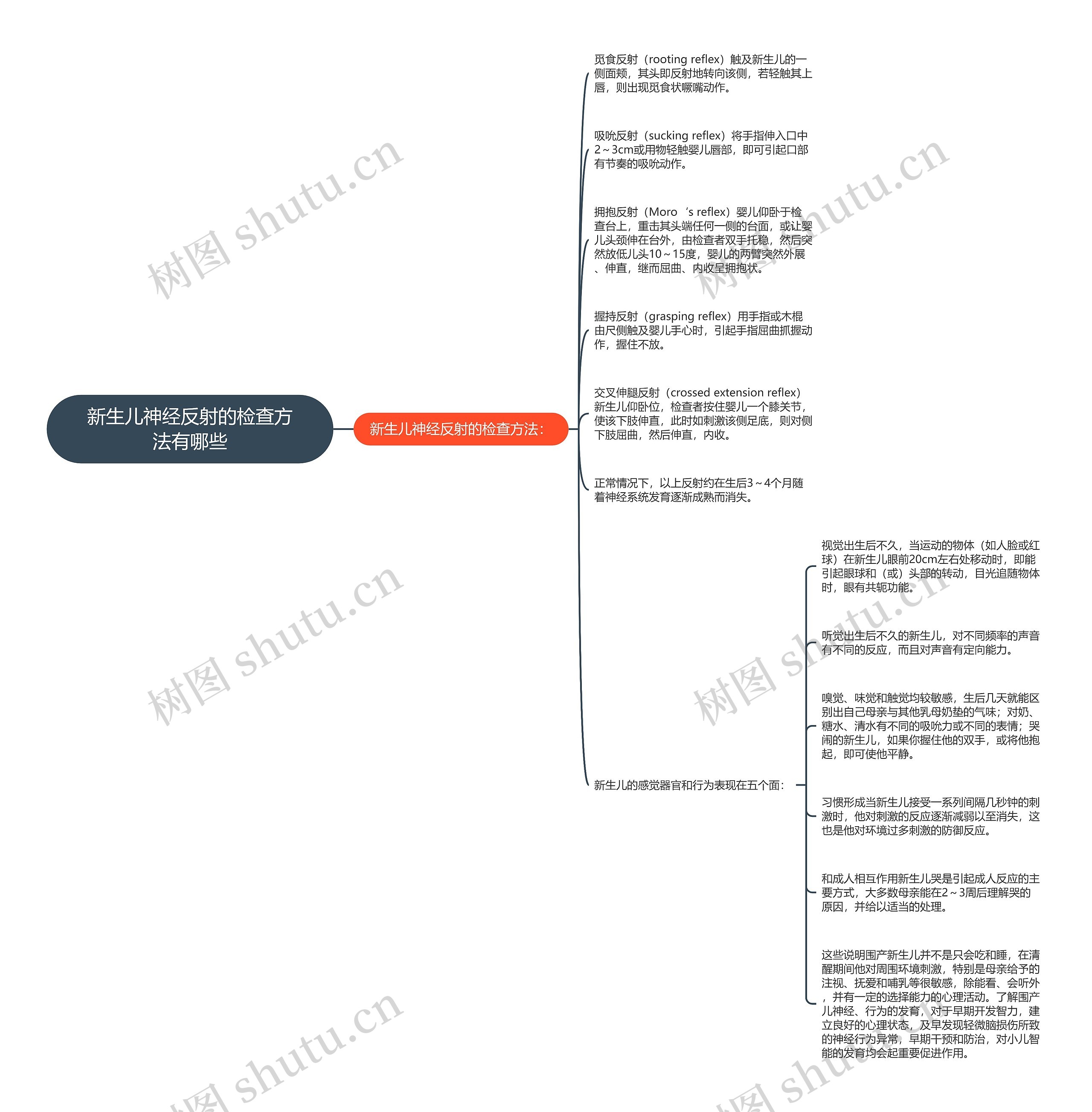 新生儿神经反射的检查方法有哪些思维导图