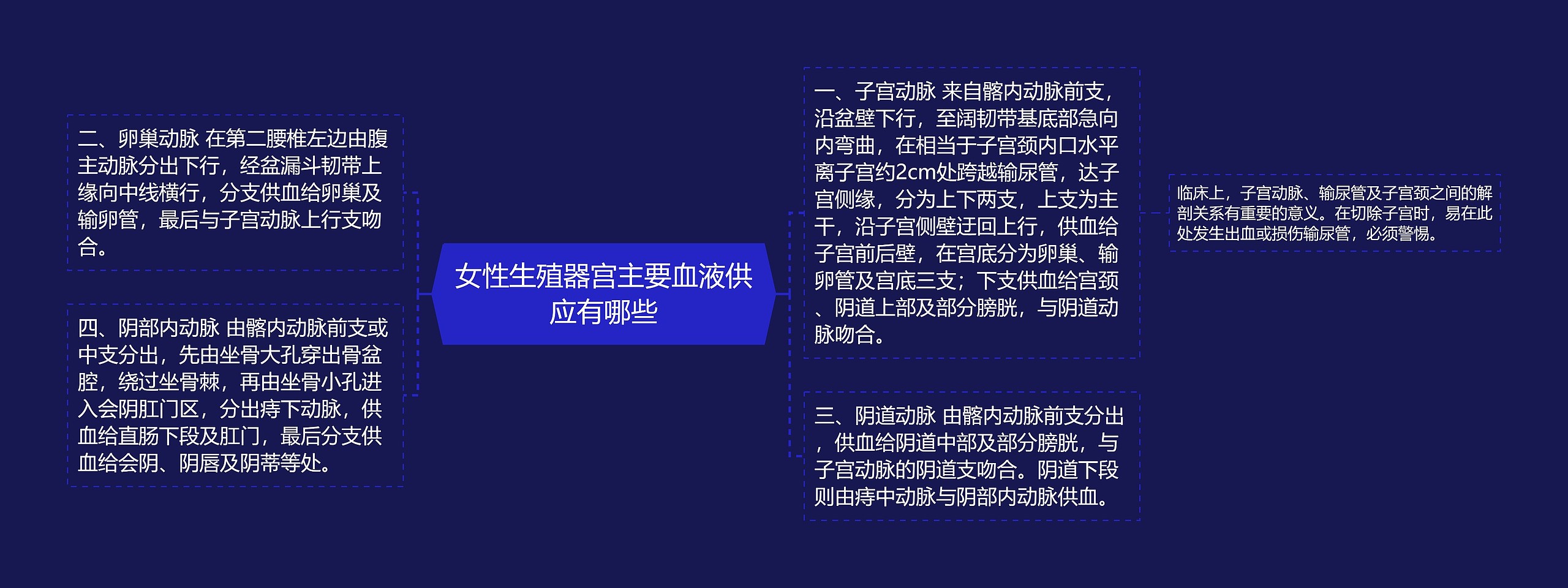 女性生殖器宫主要血液供应有哪些思维导图