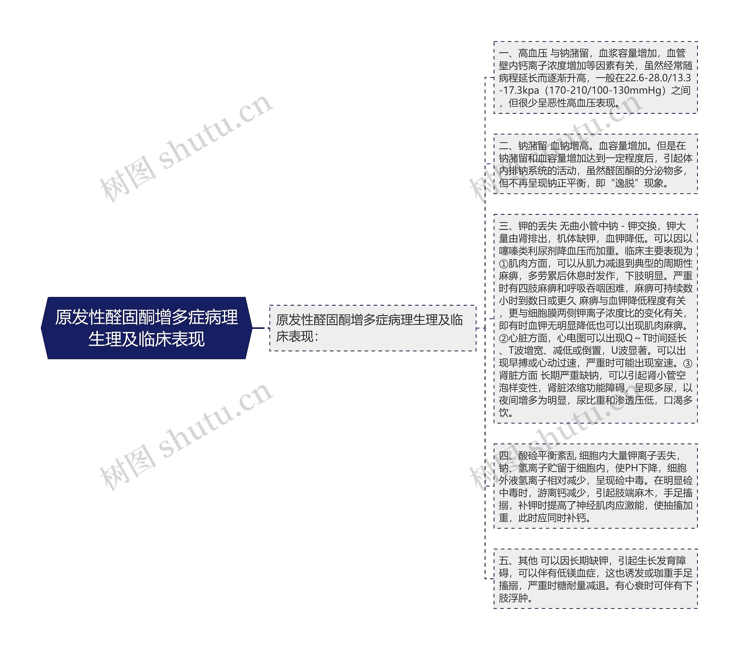 原发性醛固酮增多症病理生理及临床表现思维导图