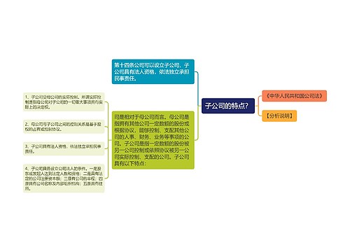 子公司的特点？