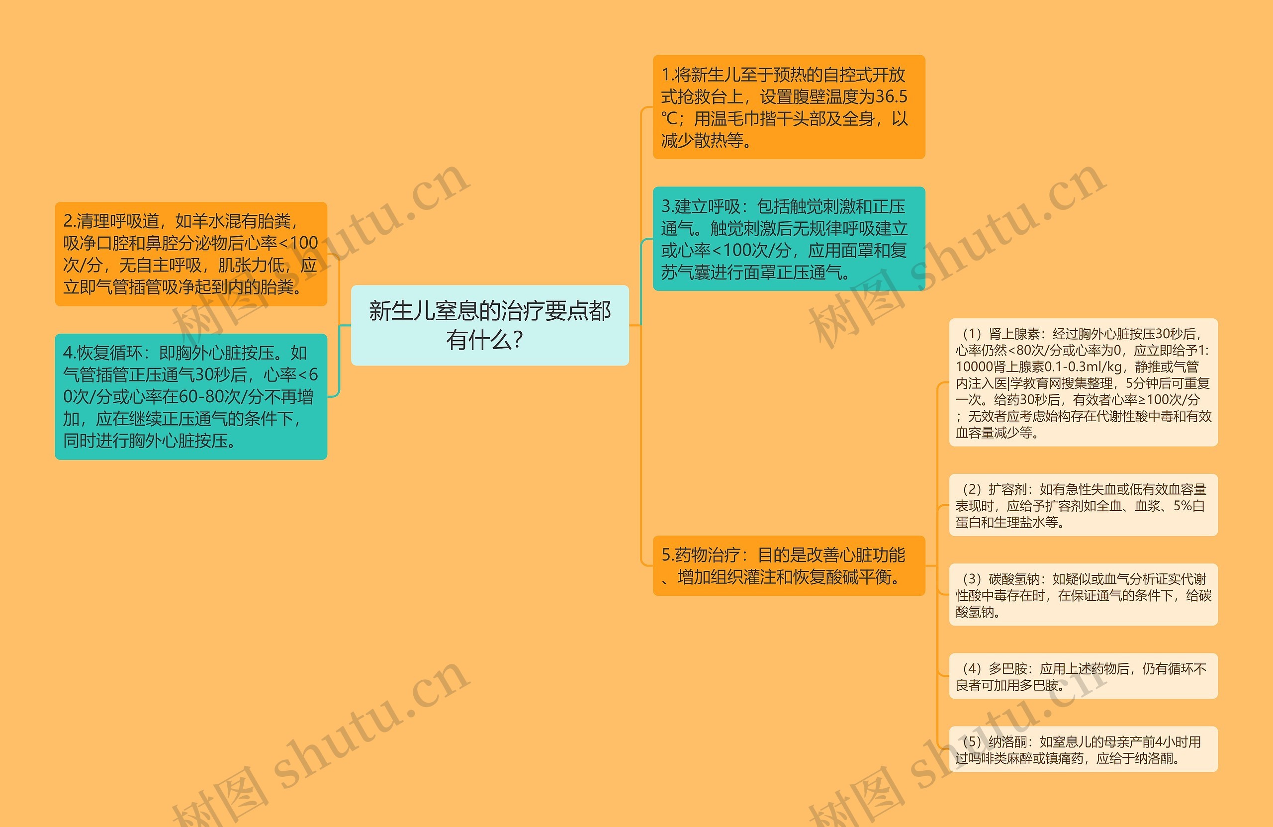 新生儿窒息的治疗要点都有什么？思维导图