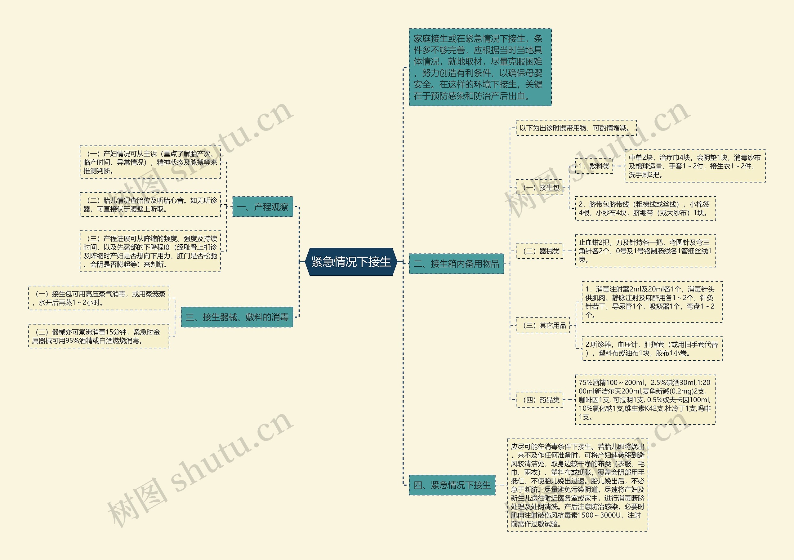 紧急情况下接生思维导图