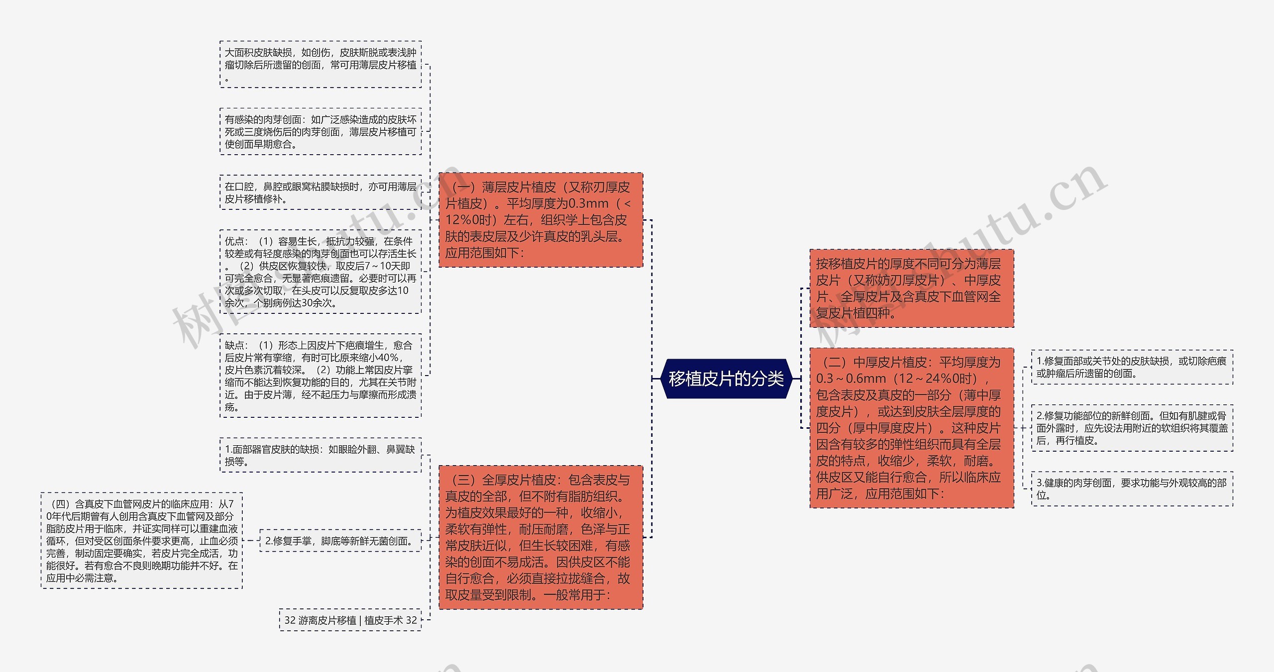 移植皮片的分类思维导图