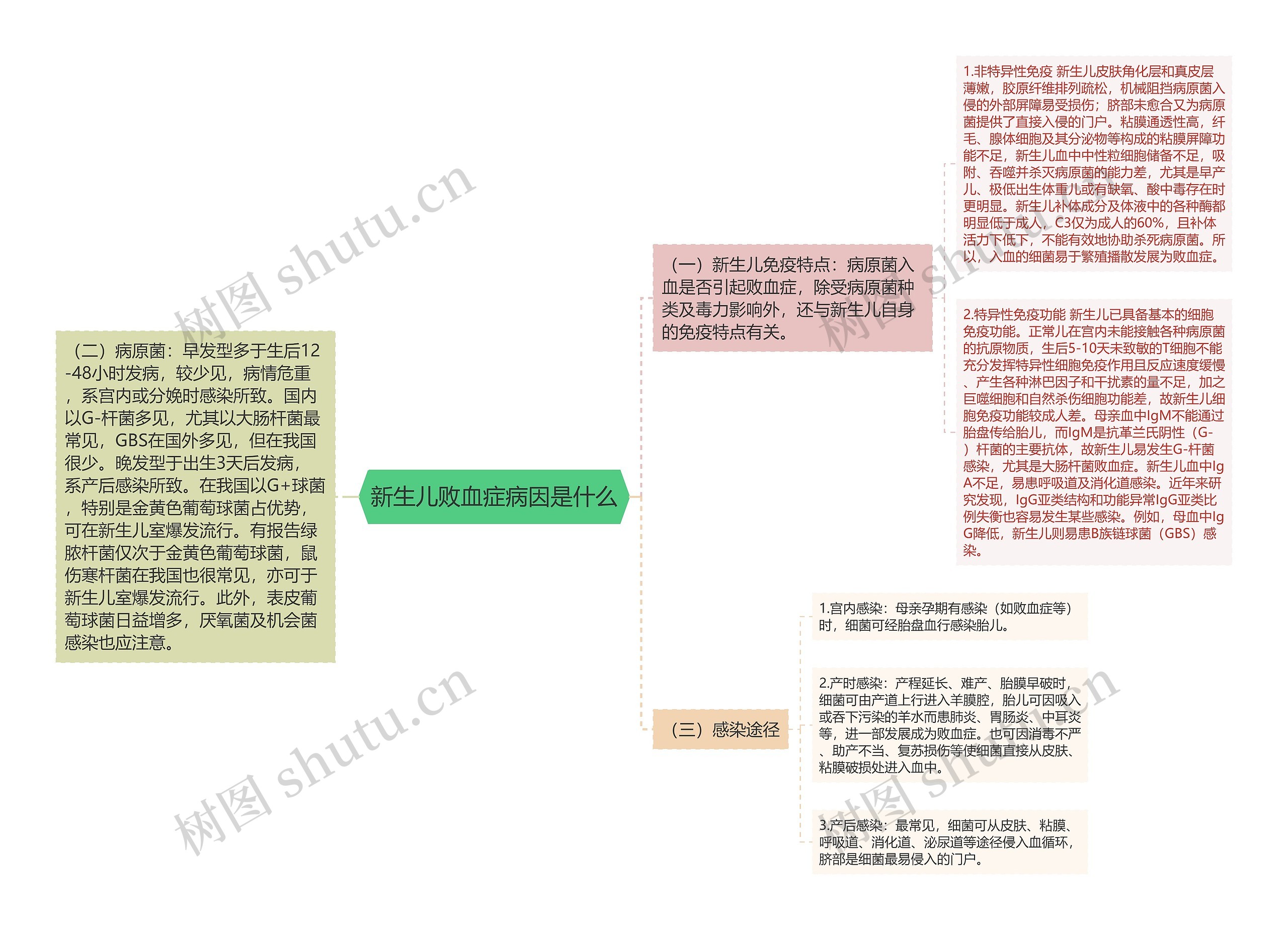 新生儿败血症病因是什么思维导图