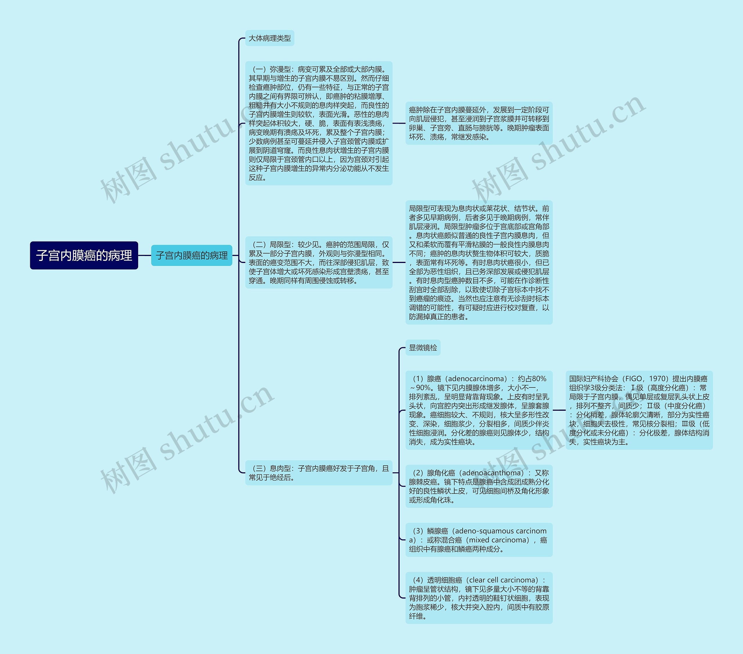 子宫内膜癌的病理 子宫内膜癌的病理