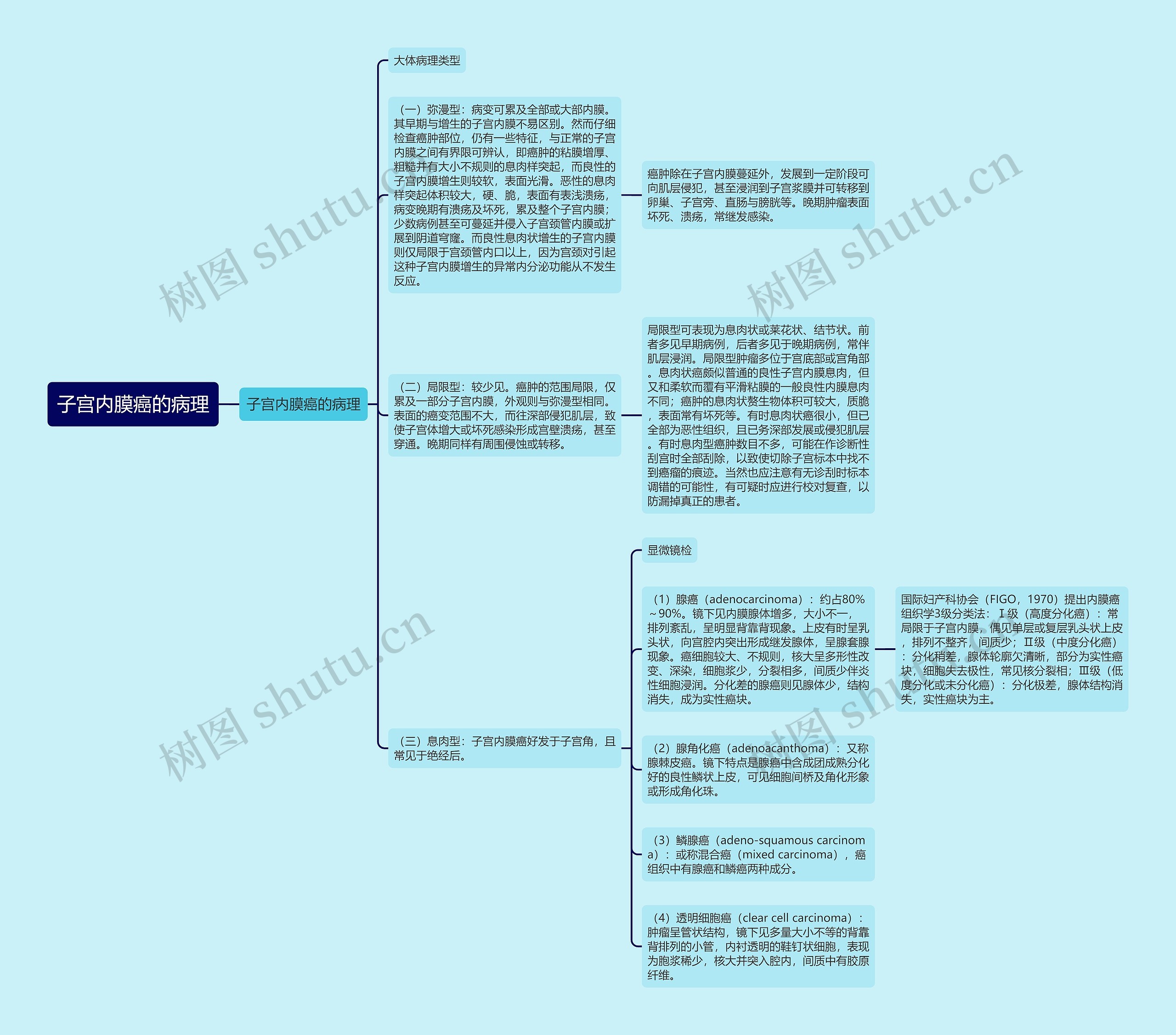 子宫内膜癌的病理思维导图