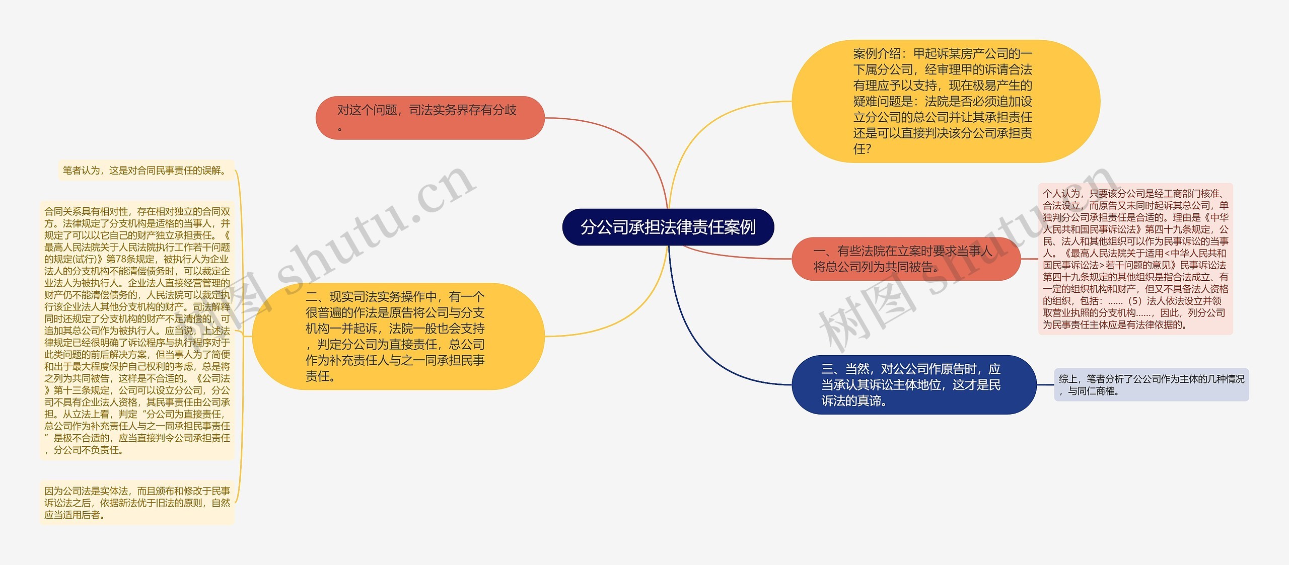 分公司承担法律责任案例