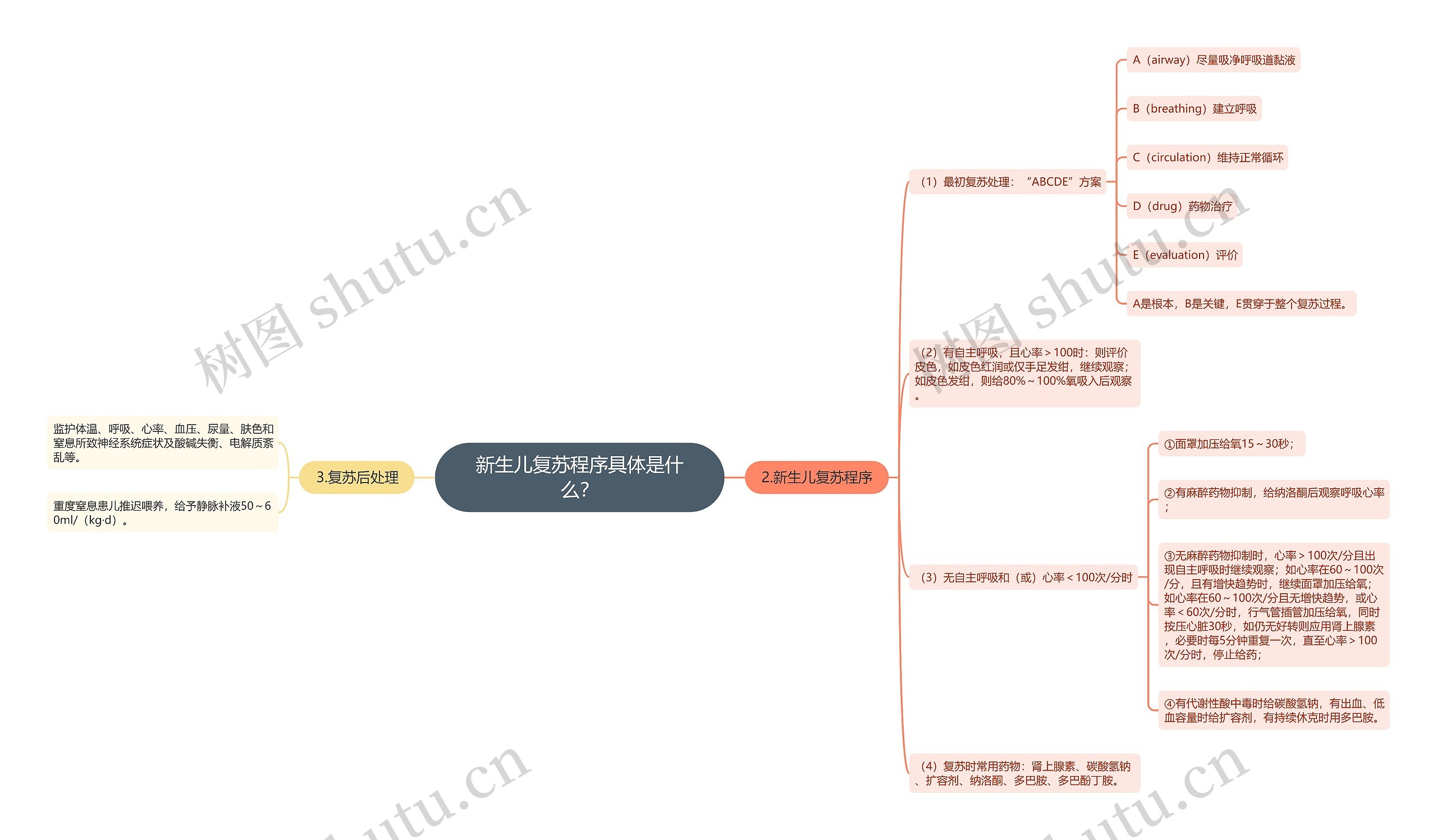 新生儿复苏程序具体是什么？思维导图