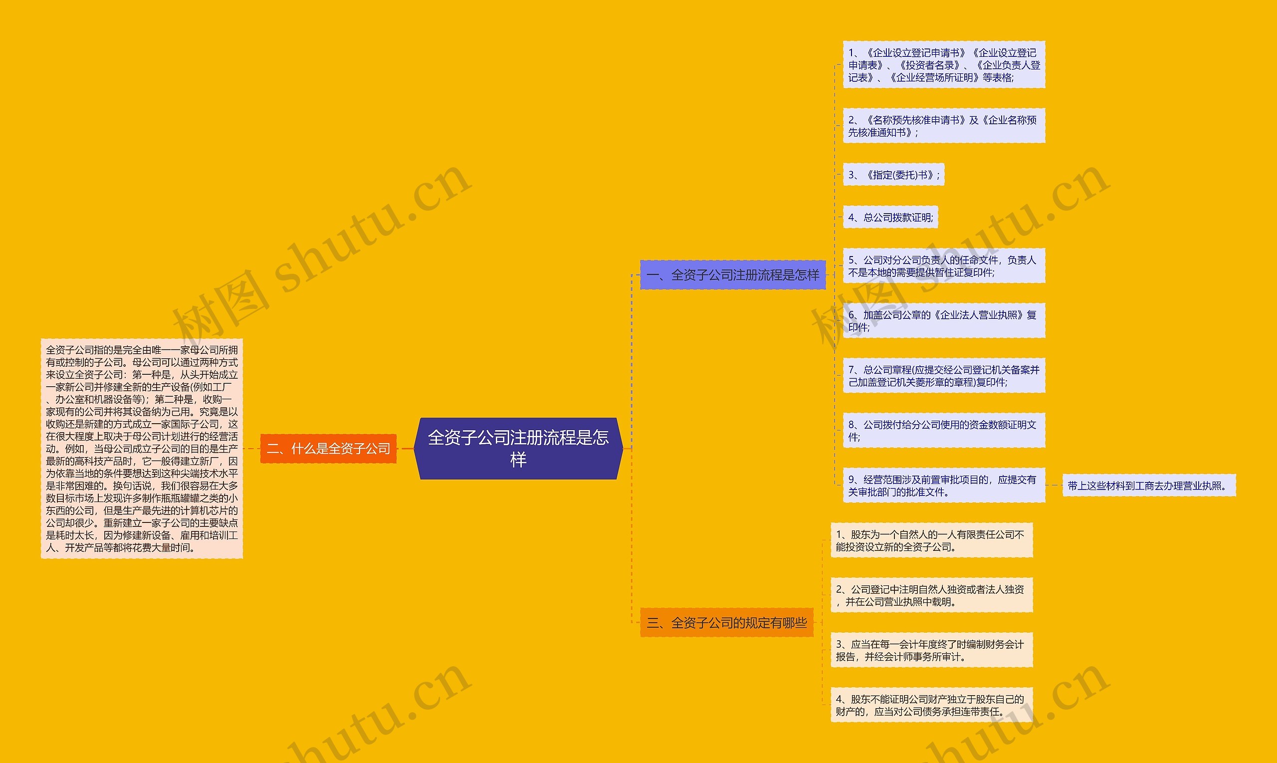 全资子公司注册流程是怎样