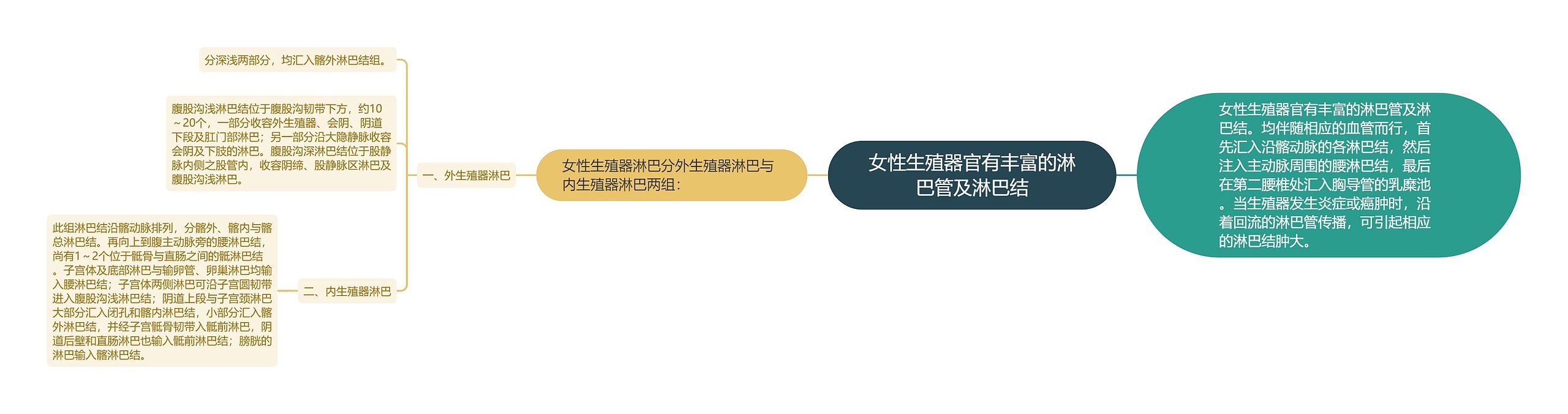 女性生殖器官有丰富的淋巴管及淋巴结 女性生殖器官有丰富的淋巴管及淋巴结
