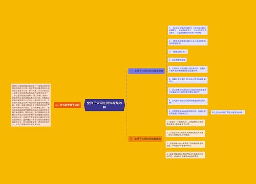 全资子公司注册流程是怎样