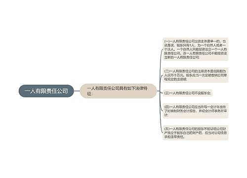 一人有限责任公司