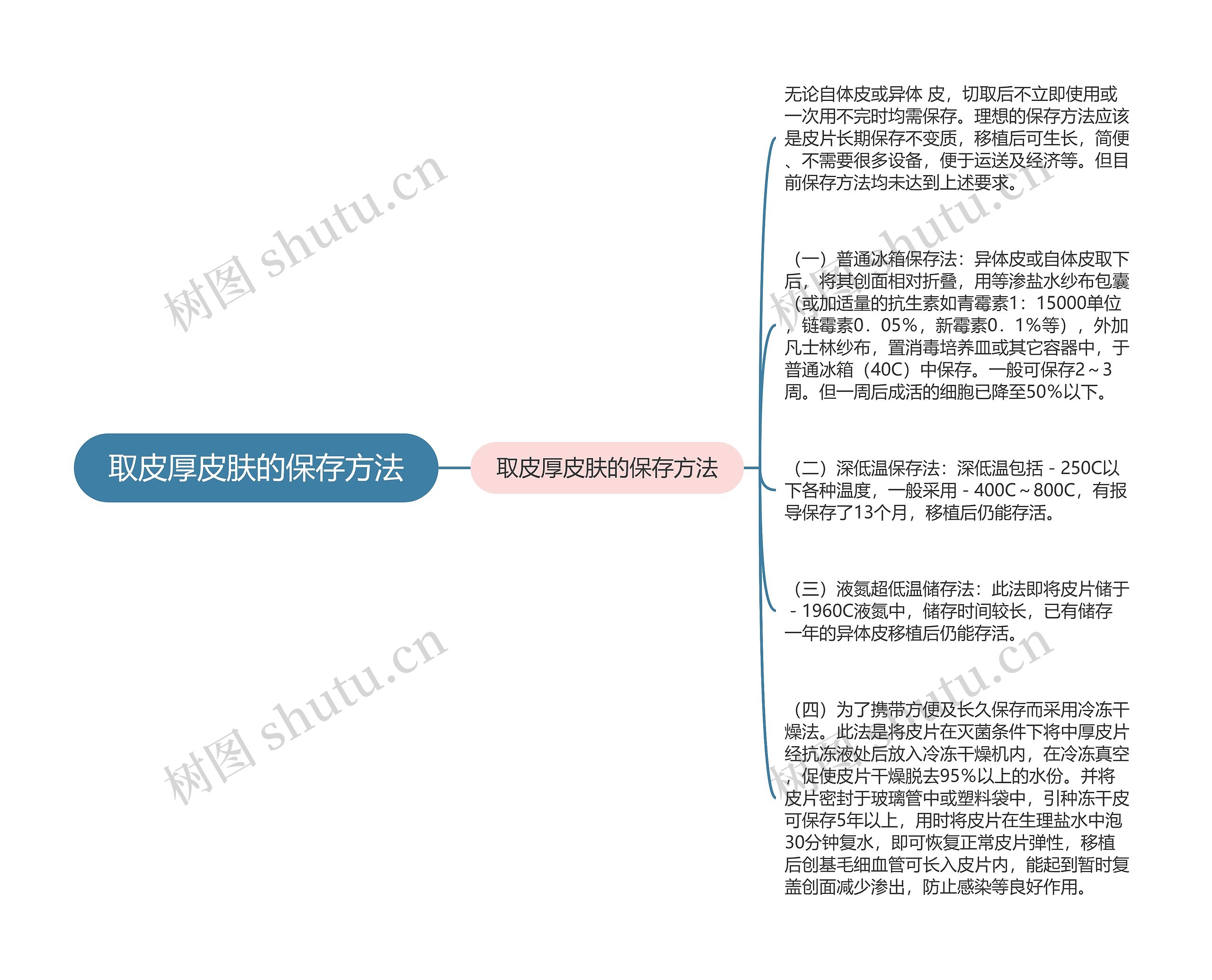 取皮厚皮肤的保存方法思维导图