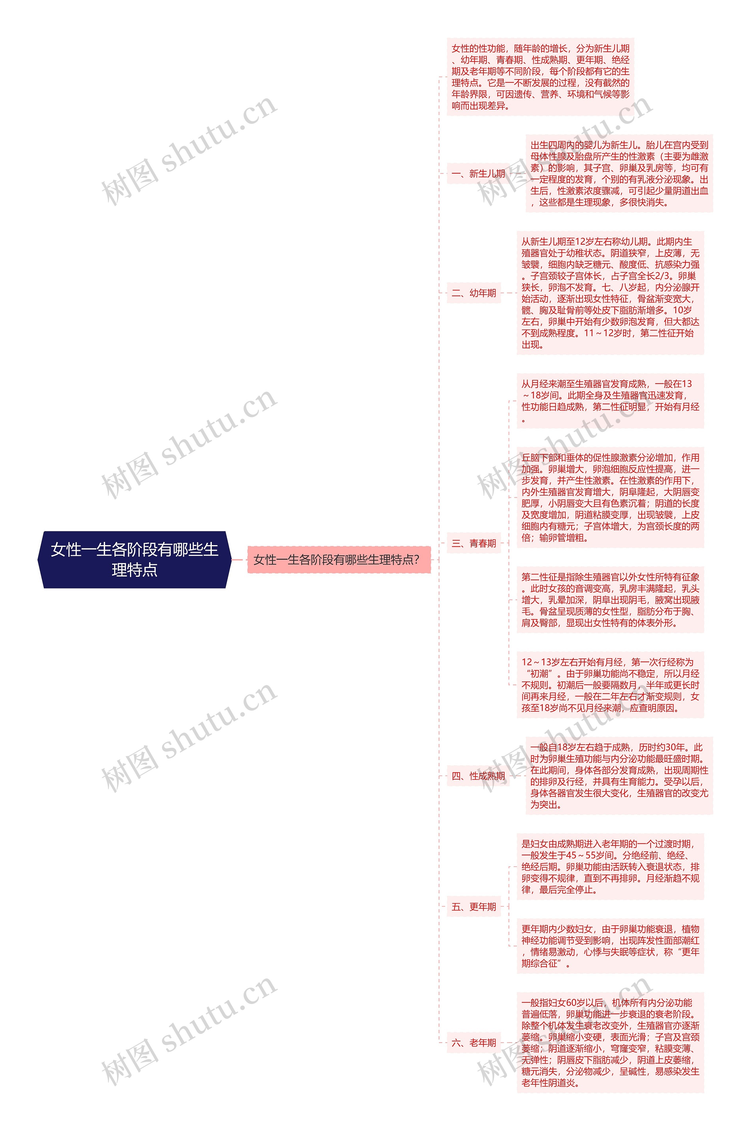 女性一生各阶段有哪些生理特点思维导图