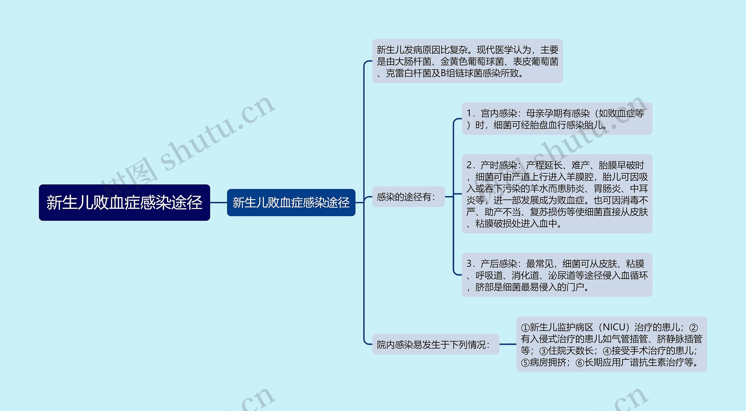 新生儿败血症感染途径思维导图