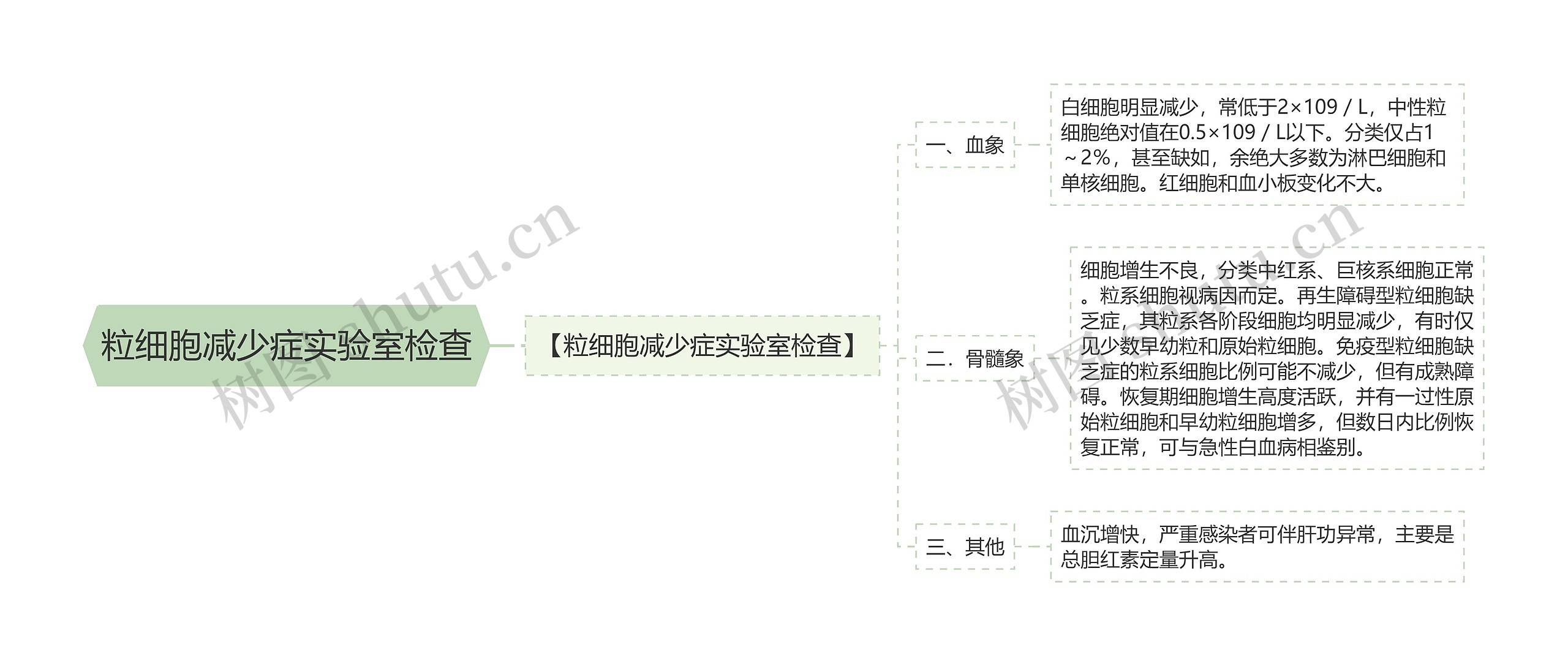 粒细胞减少症实验室检查思维导图