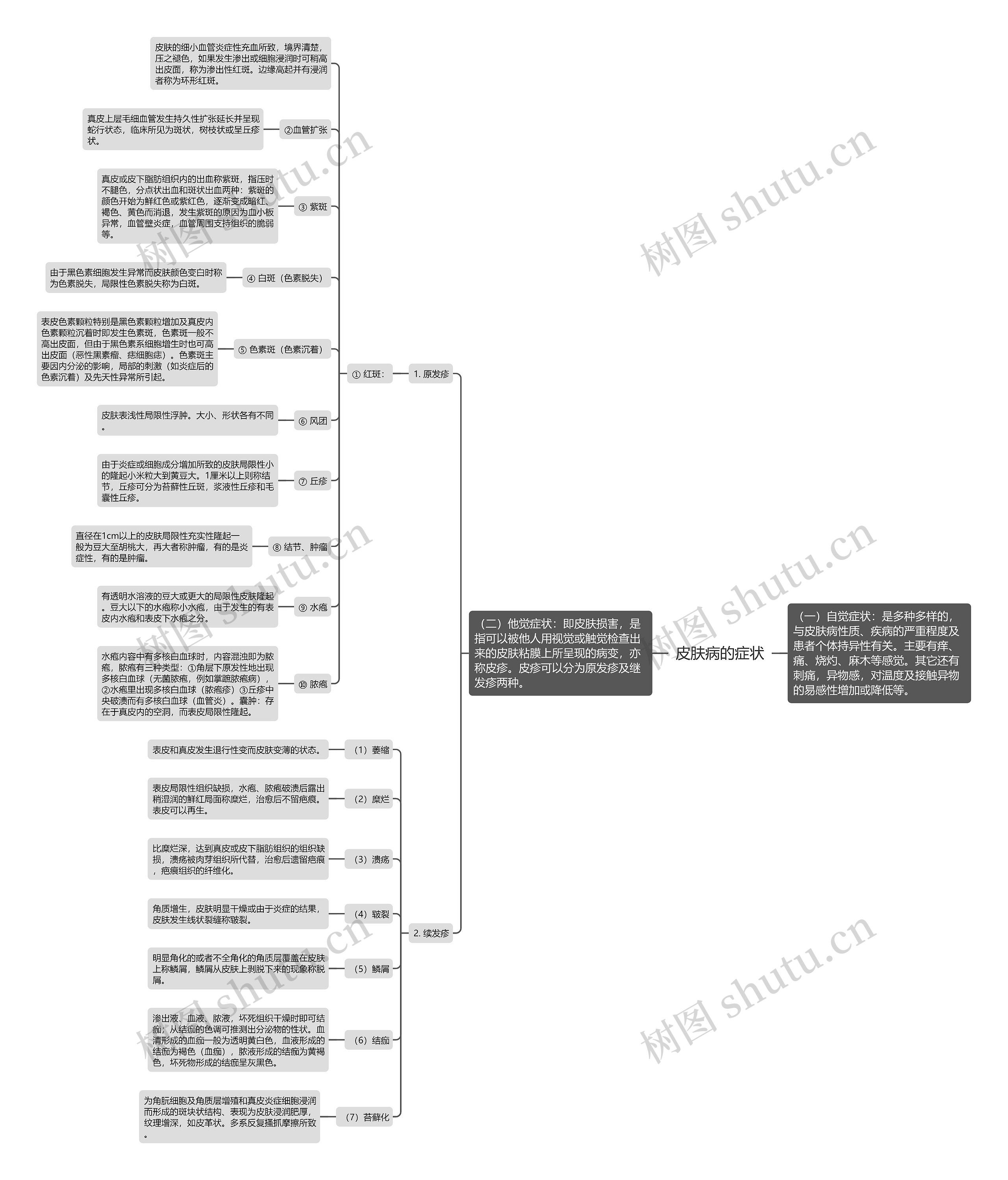 皮肤病的症状思维导图