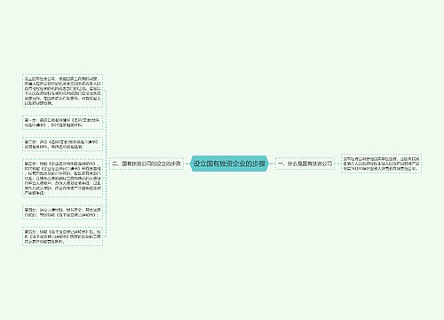 设立国有独资企业的步骤