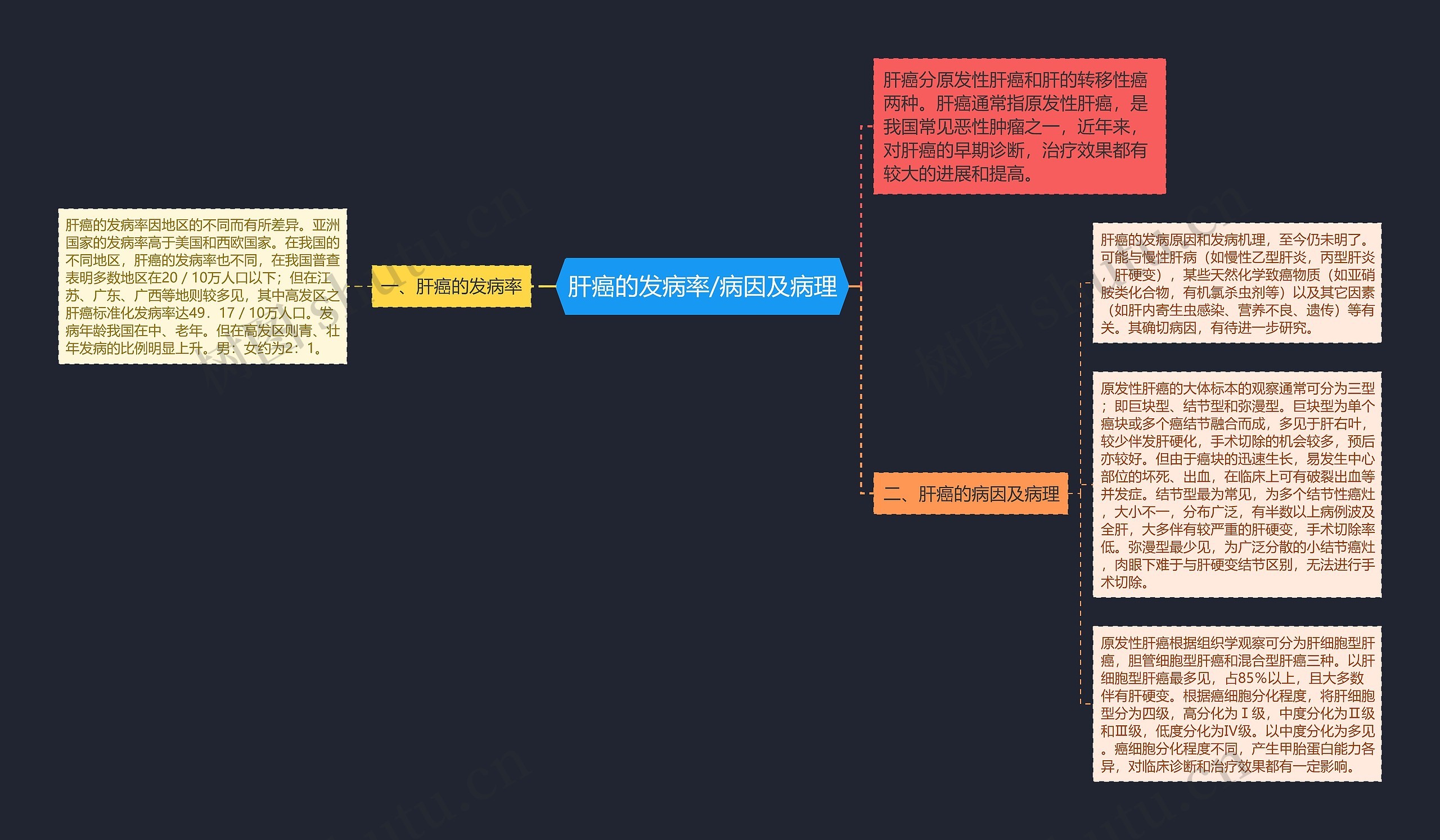 肝癌的发病率/病因及病理思维导图