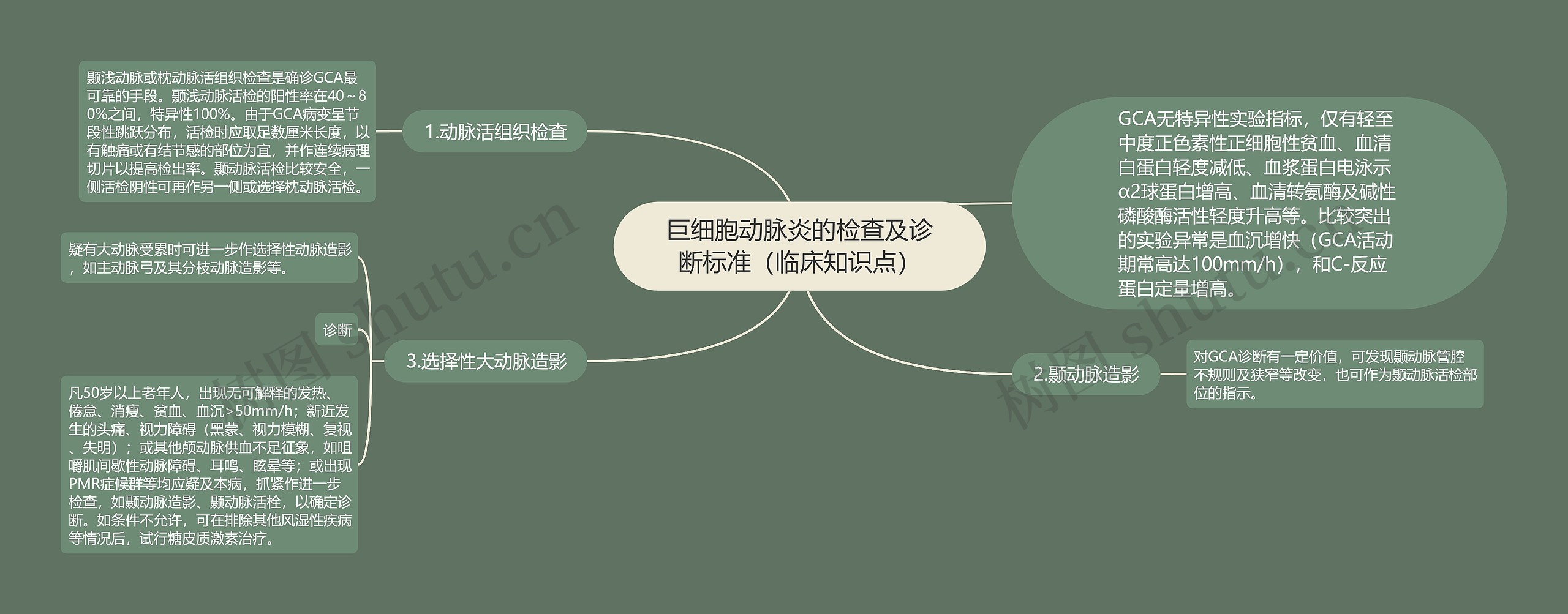 巨细胞动脉炎的检查及诊断标准（临床知识点）思维导图