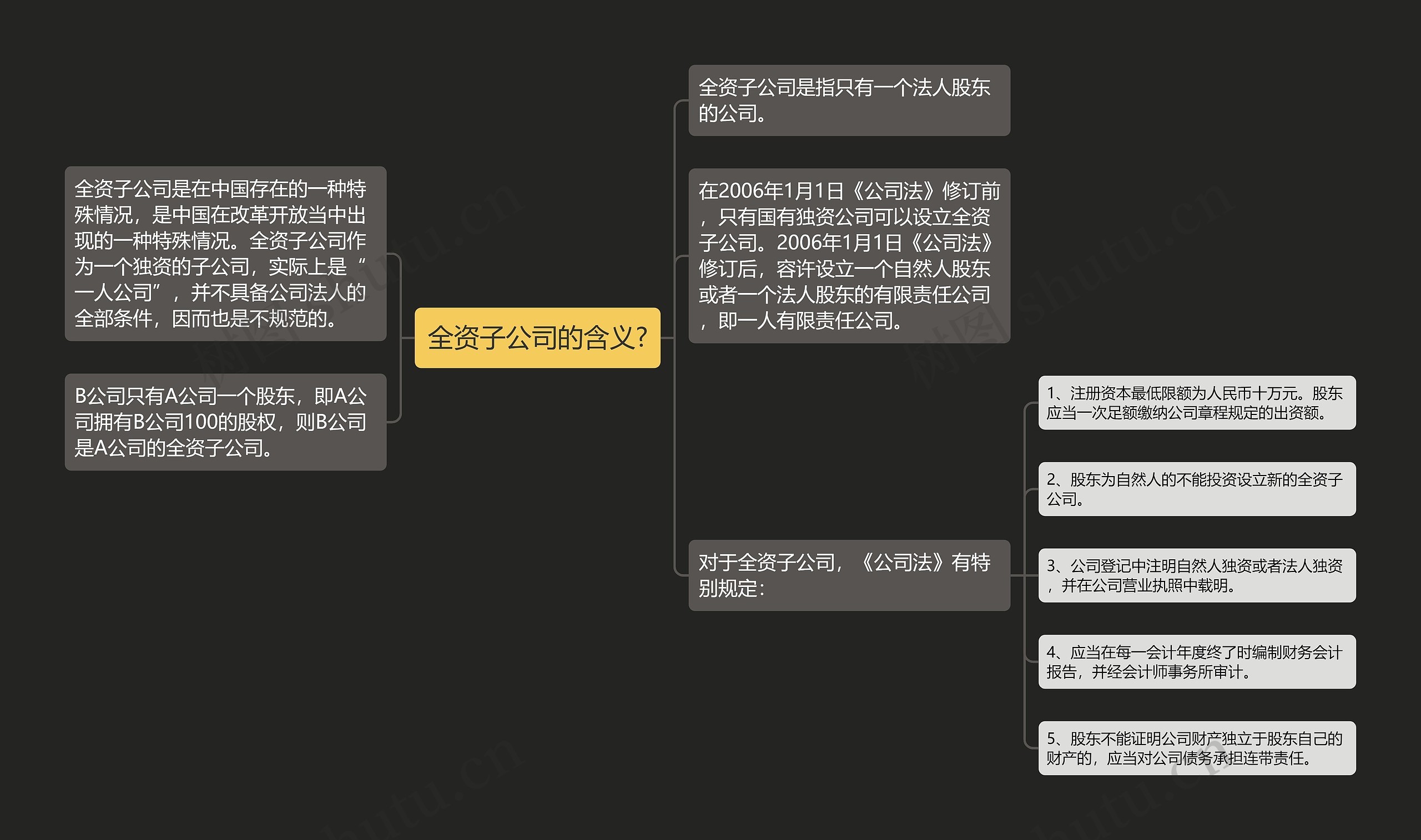 全资子公司的含义?