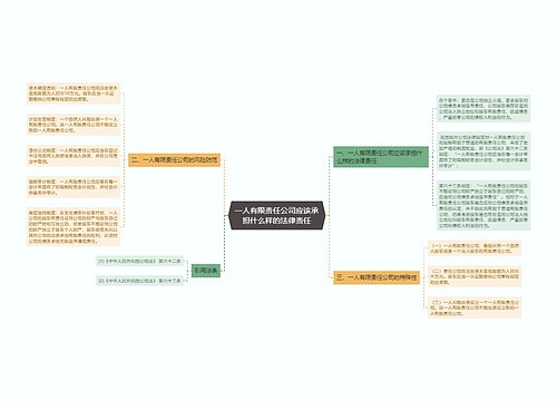 一人有限责任公司应该承担什么样的法律责任