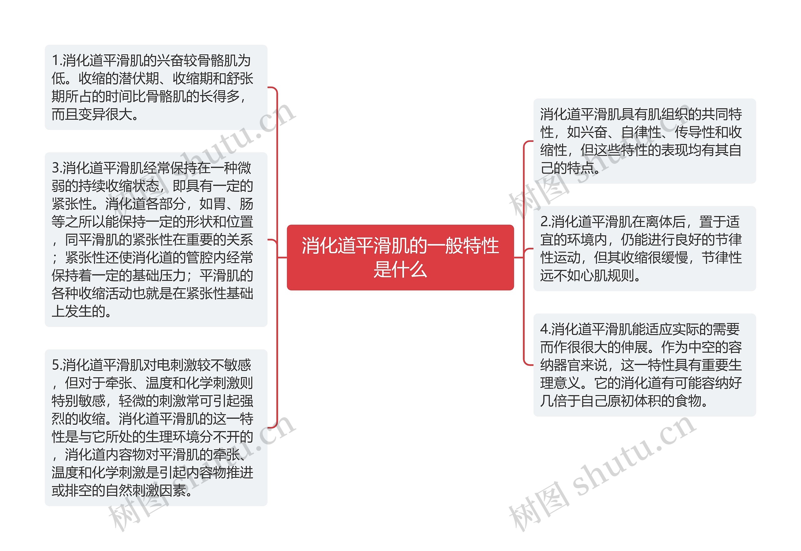 消化道平滑肌的一般特性是什么思维导图