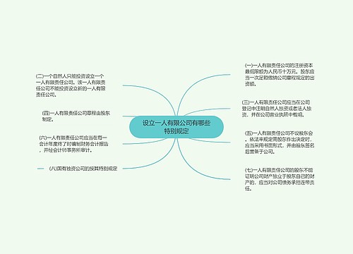 设立一人有限公司有哪些特别规定