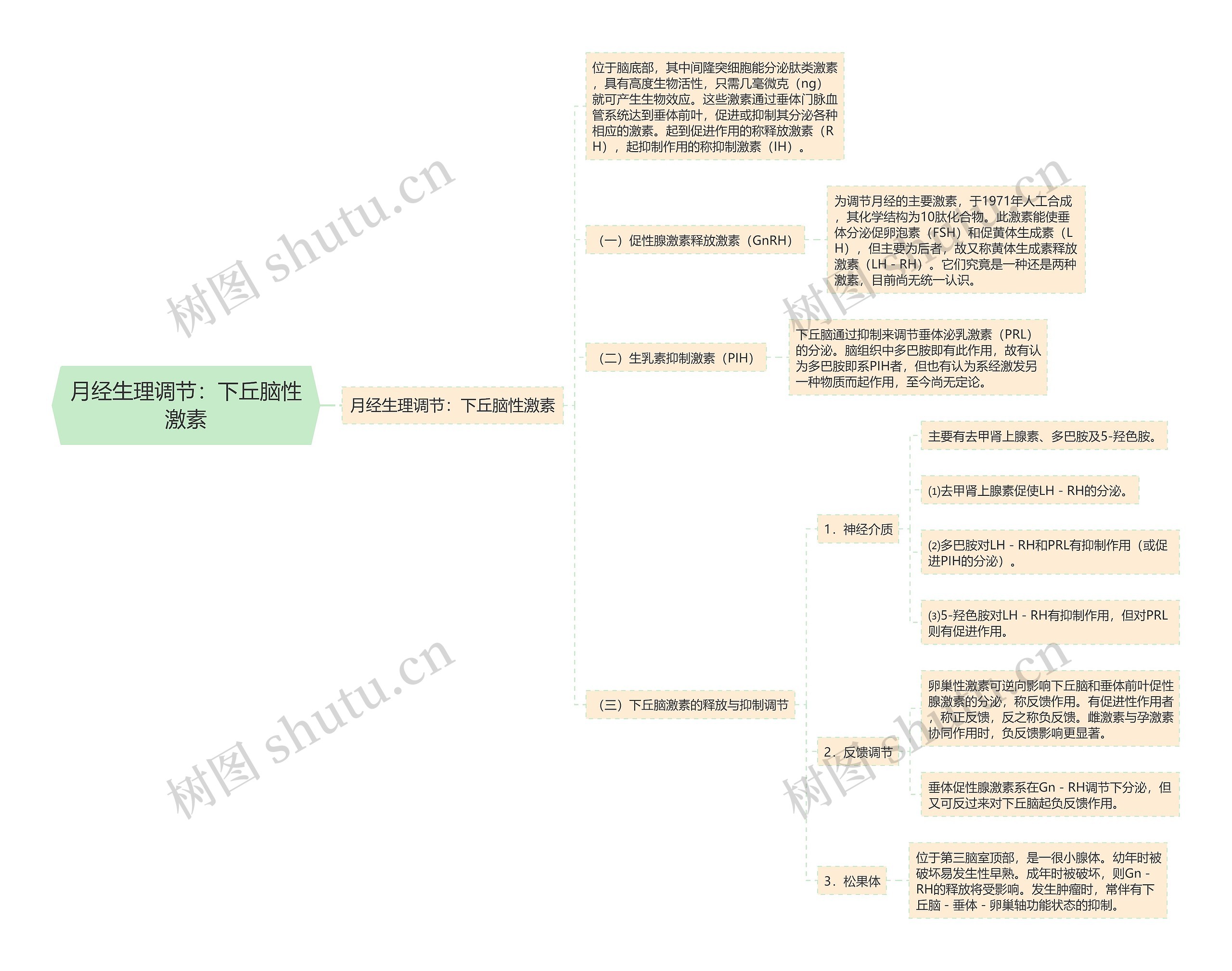 月经生理调节：下丘脑性激素思维导图