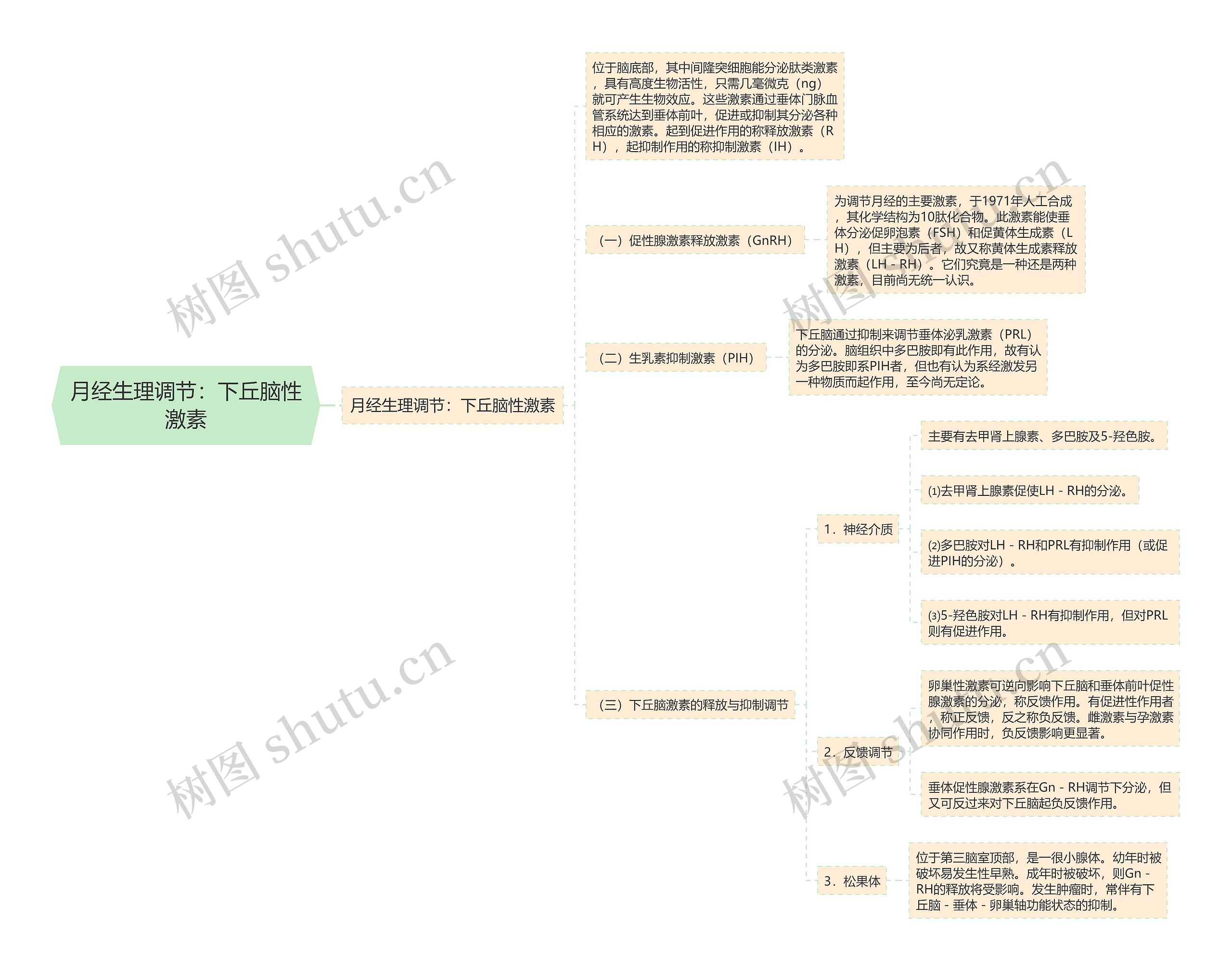 月经生理调节:下丘脑性激素 月经生理调节:下丘脑性激素