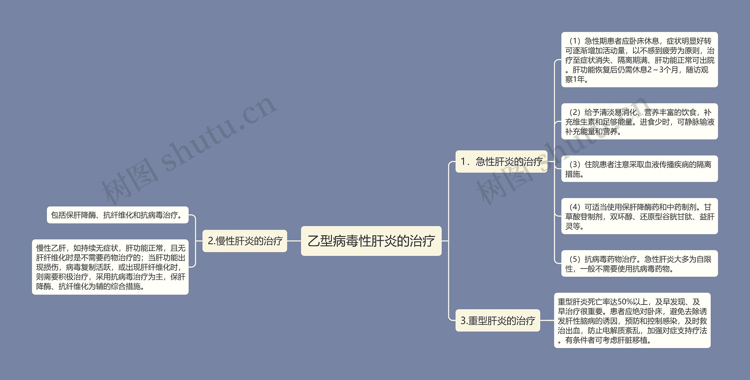 乙型病毒性肝炎的治疗思维导图