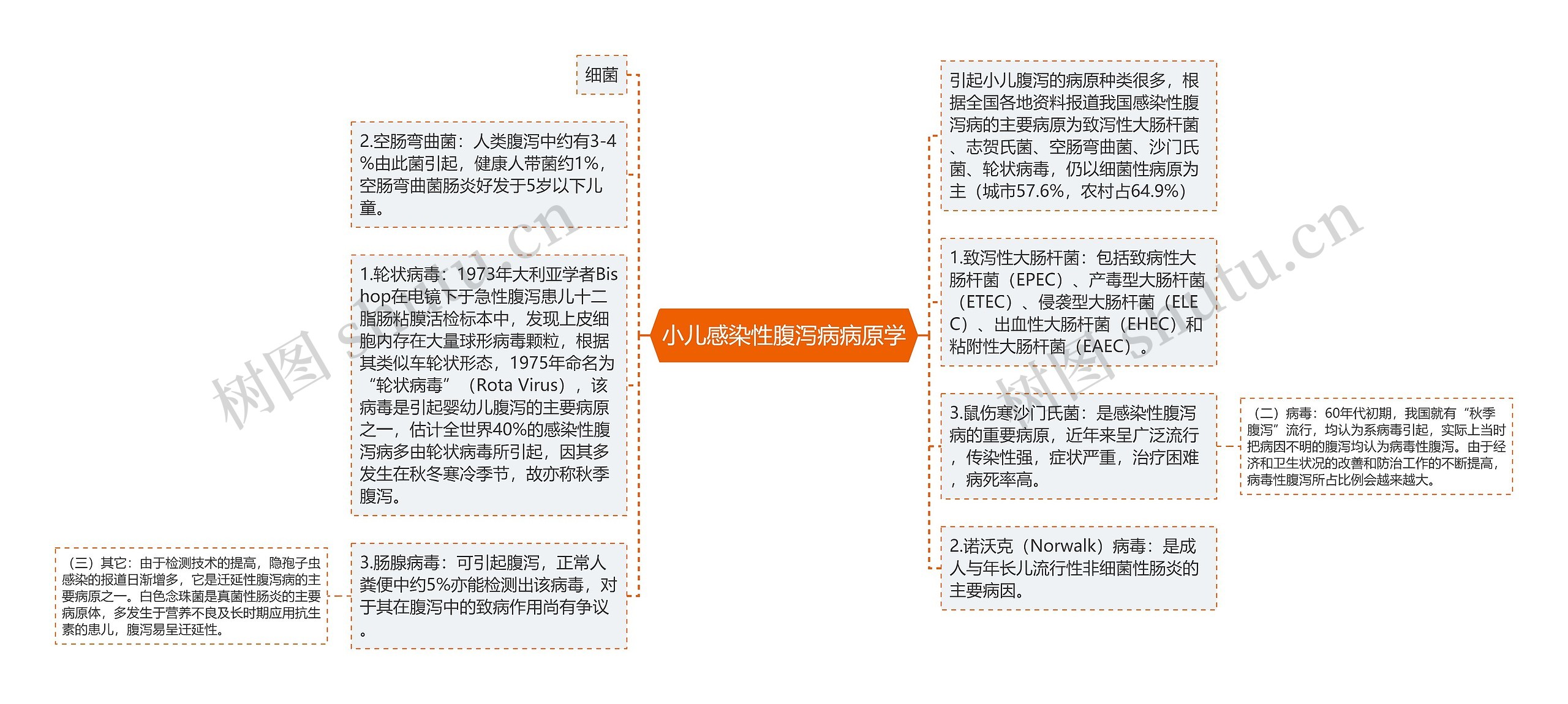 小儿感染性腹泻病病原学思维导图