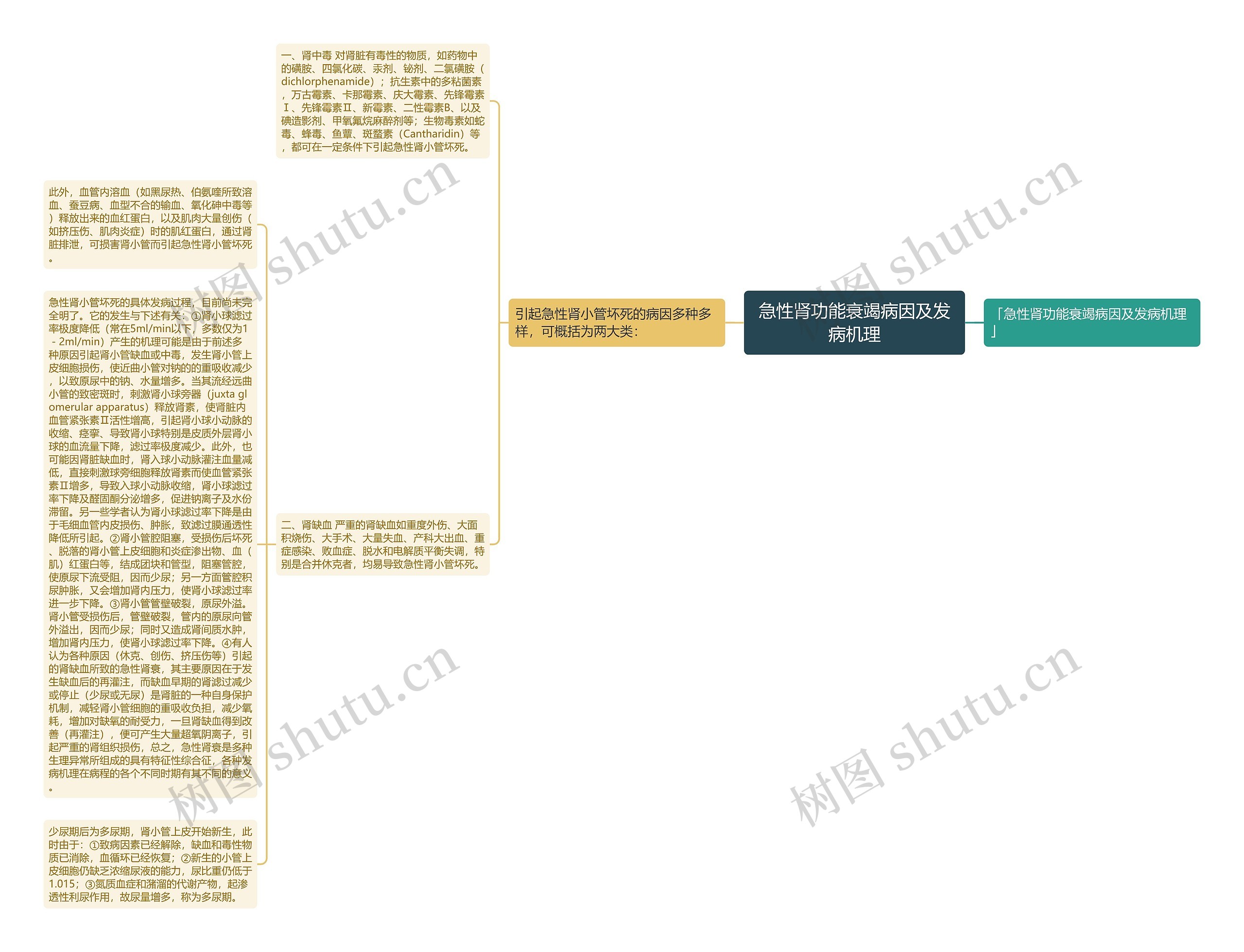 急性肾功能衰竭病因及发病机理 急性肾功能衰竭病因及发病机理