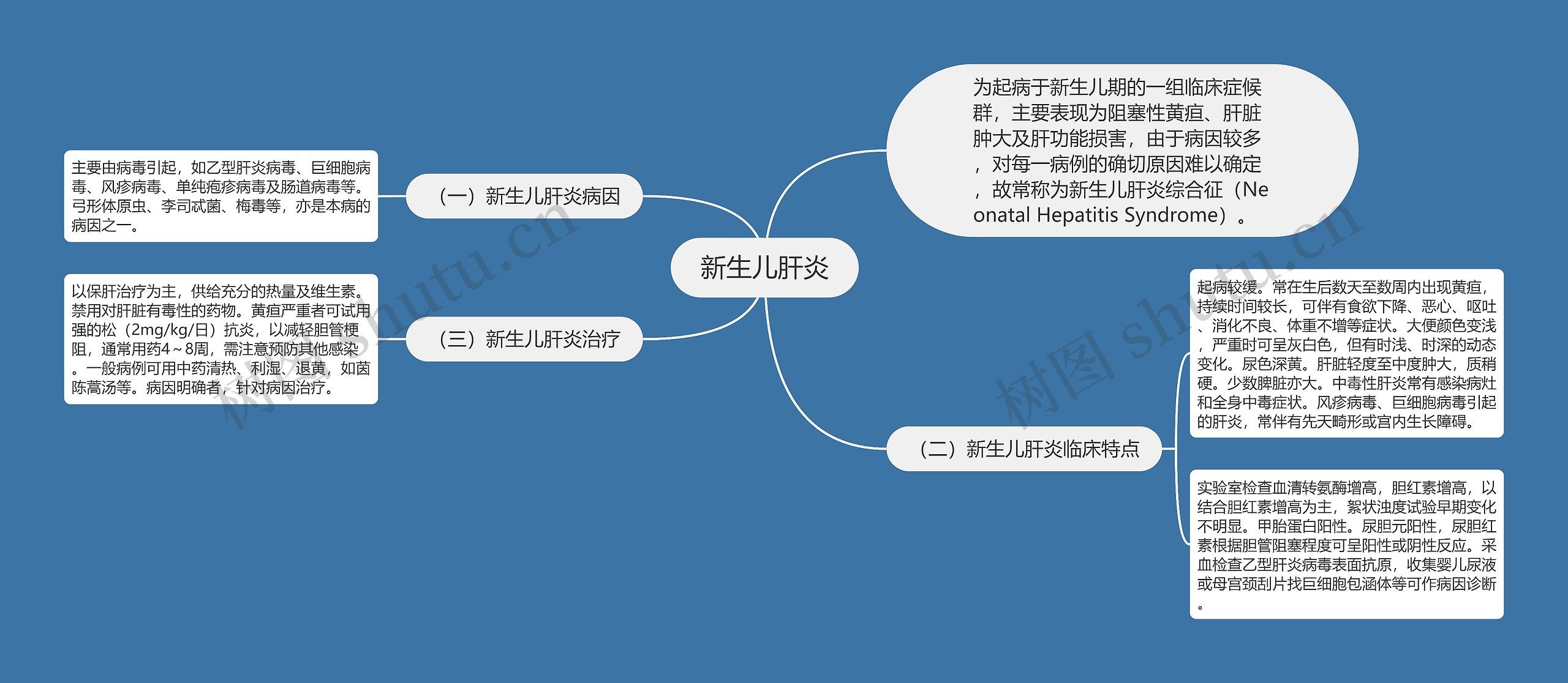 新生儿肝炎思维导图