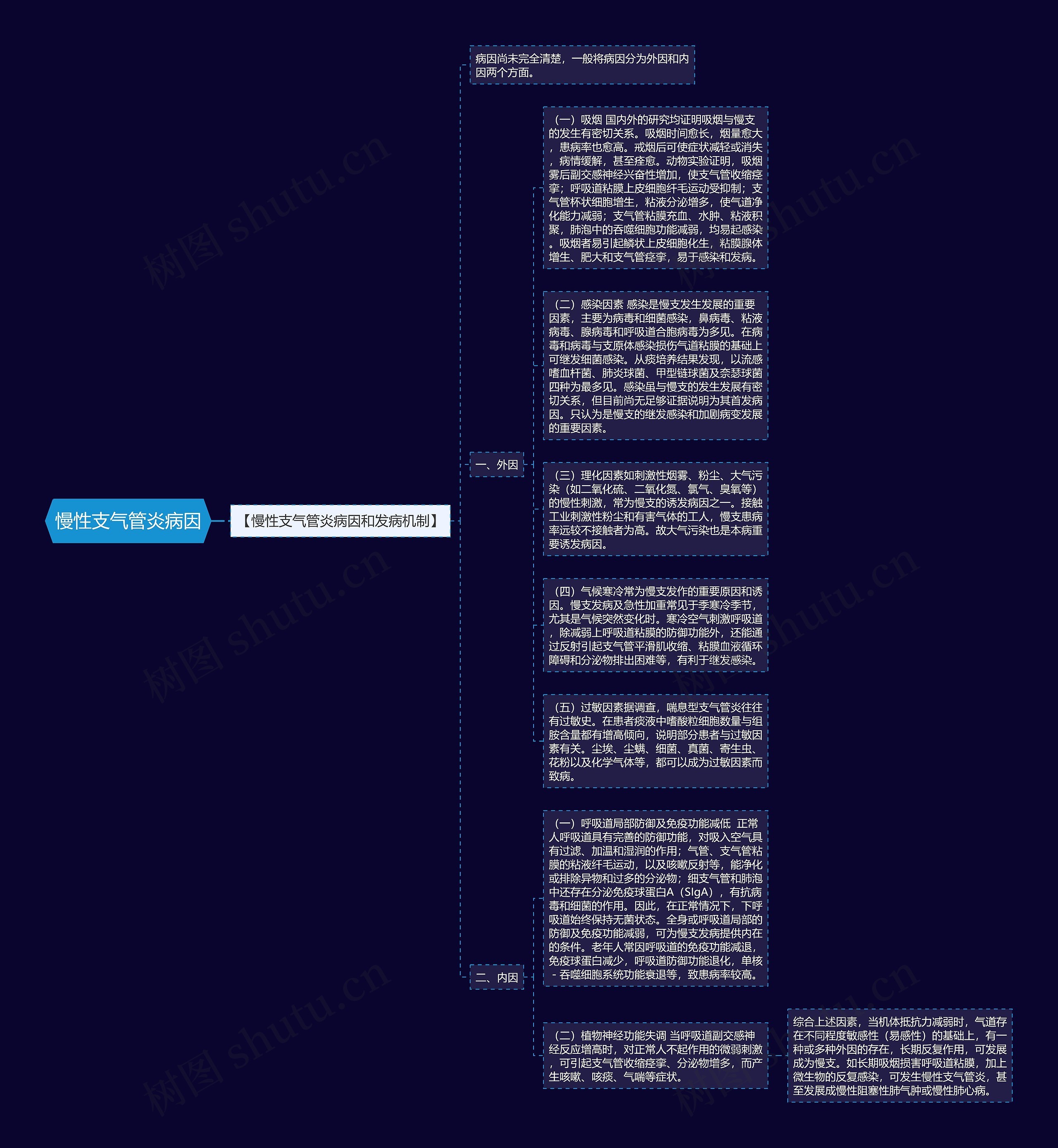 慢性支气管炎病因思维导图