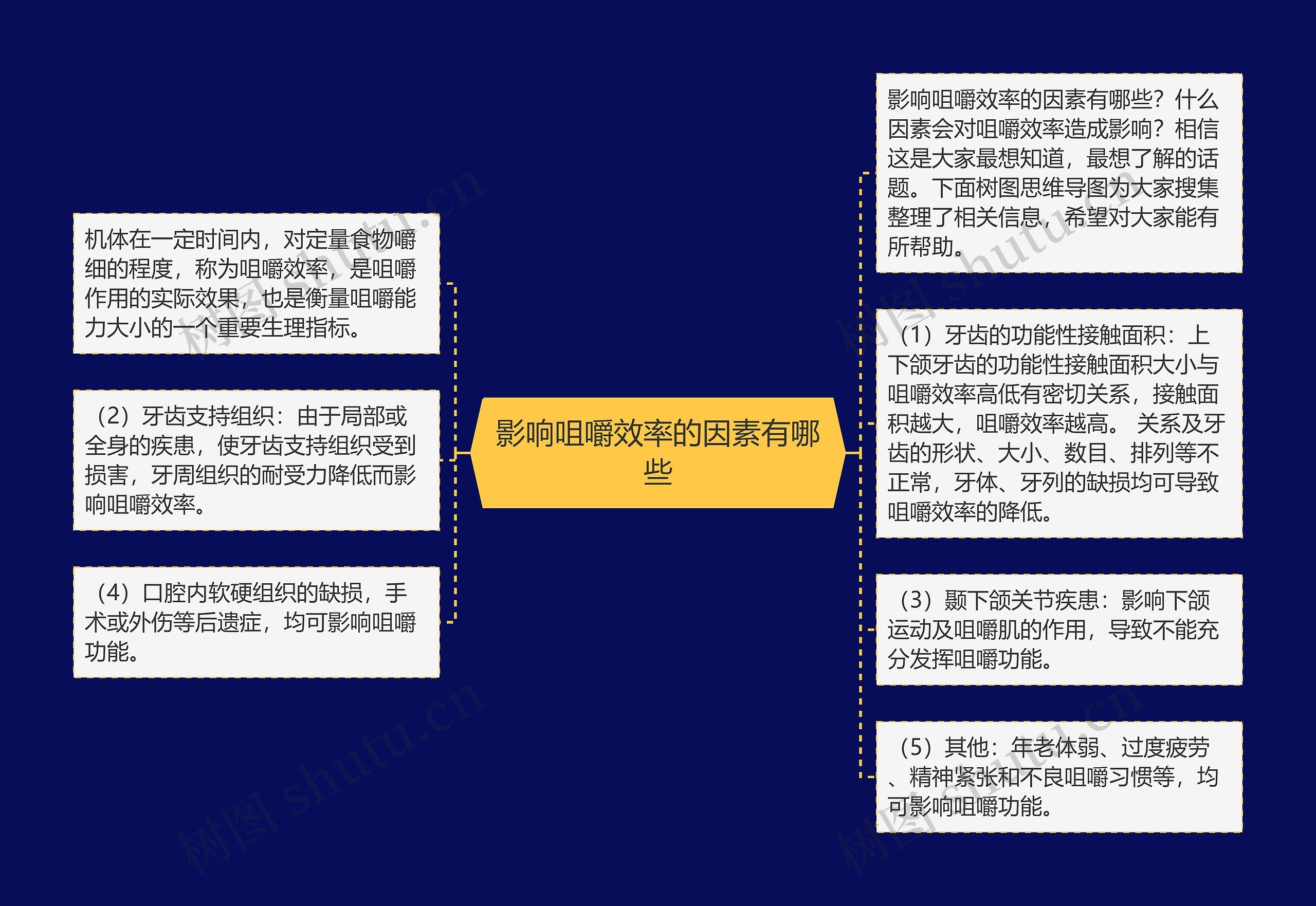 影响咀嚼效率的因素有哪些 影响咀嚼效率的因素有哪些