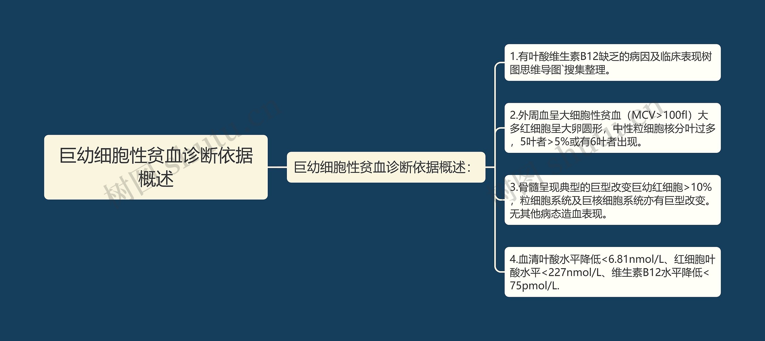 巨幼细胞性贫血诊断依据概述