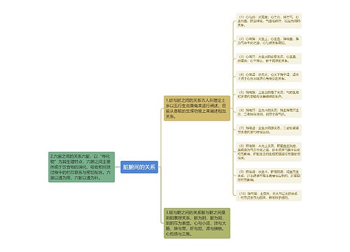 脏腑间的关系