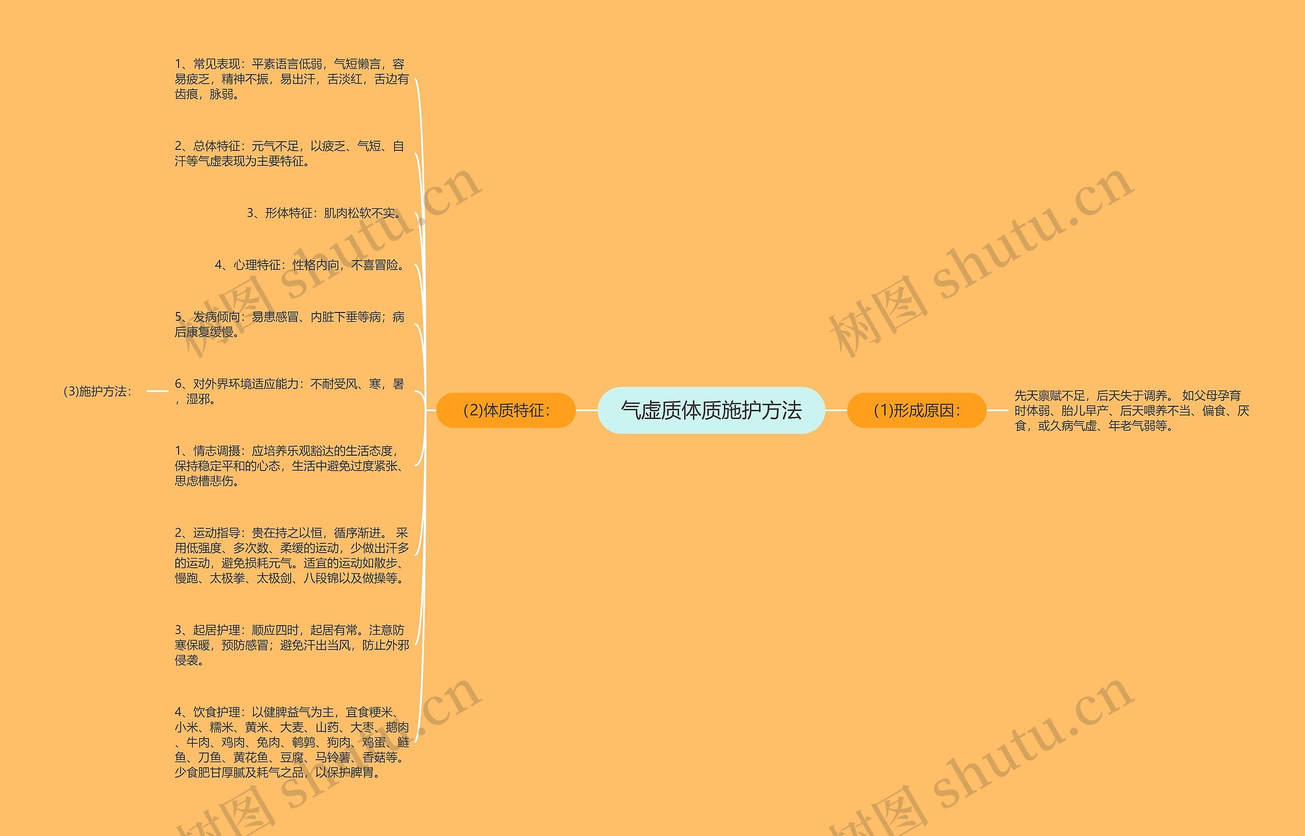 气虚质体质施护方法思维导图