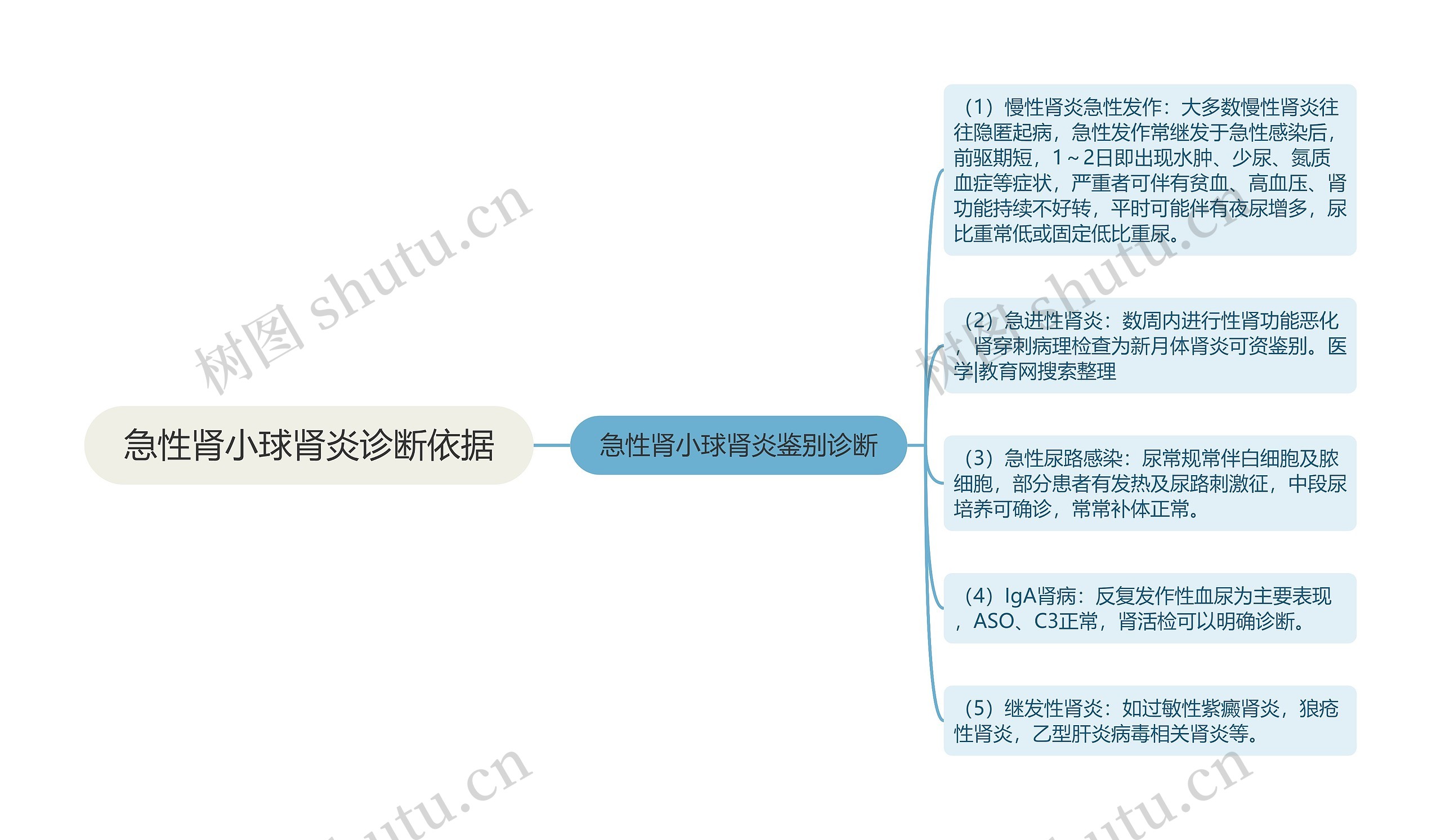 急性肾小球肾炎诊断依据思维导图