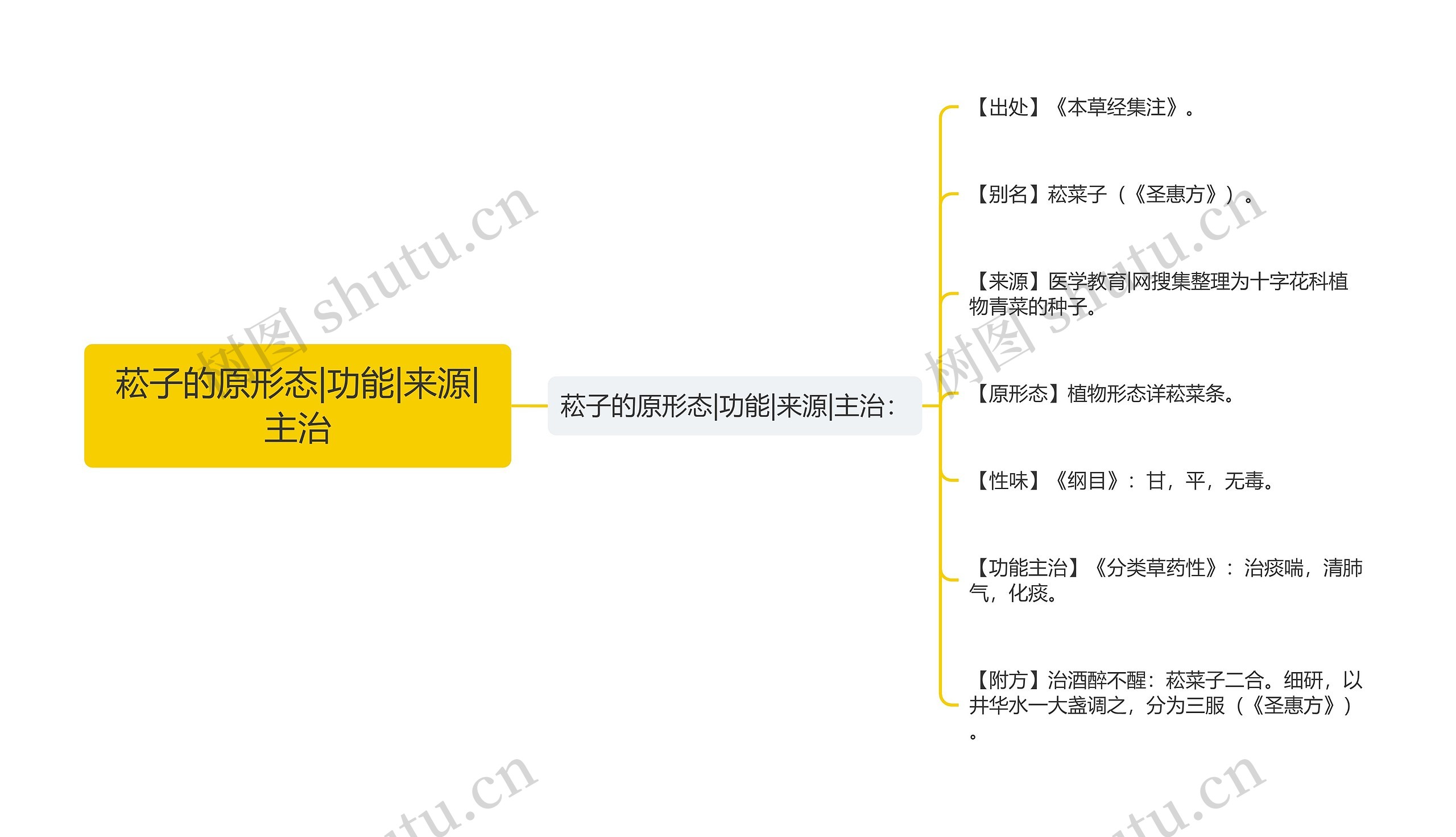 菘子的原形态|功能|来源|主治思维导图