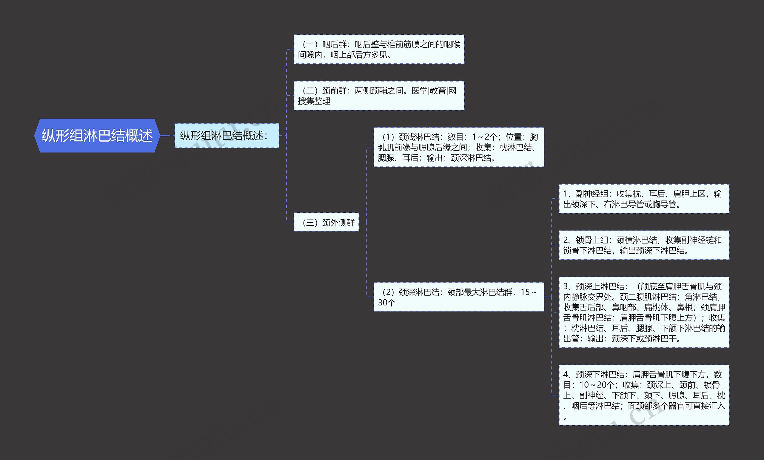 纵形组淋巴结概述思维导图