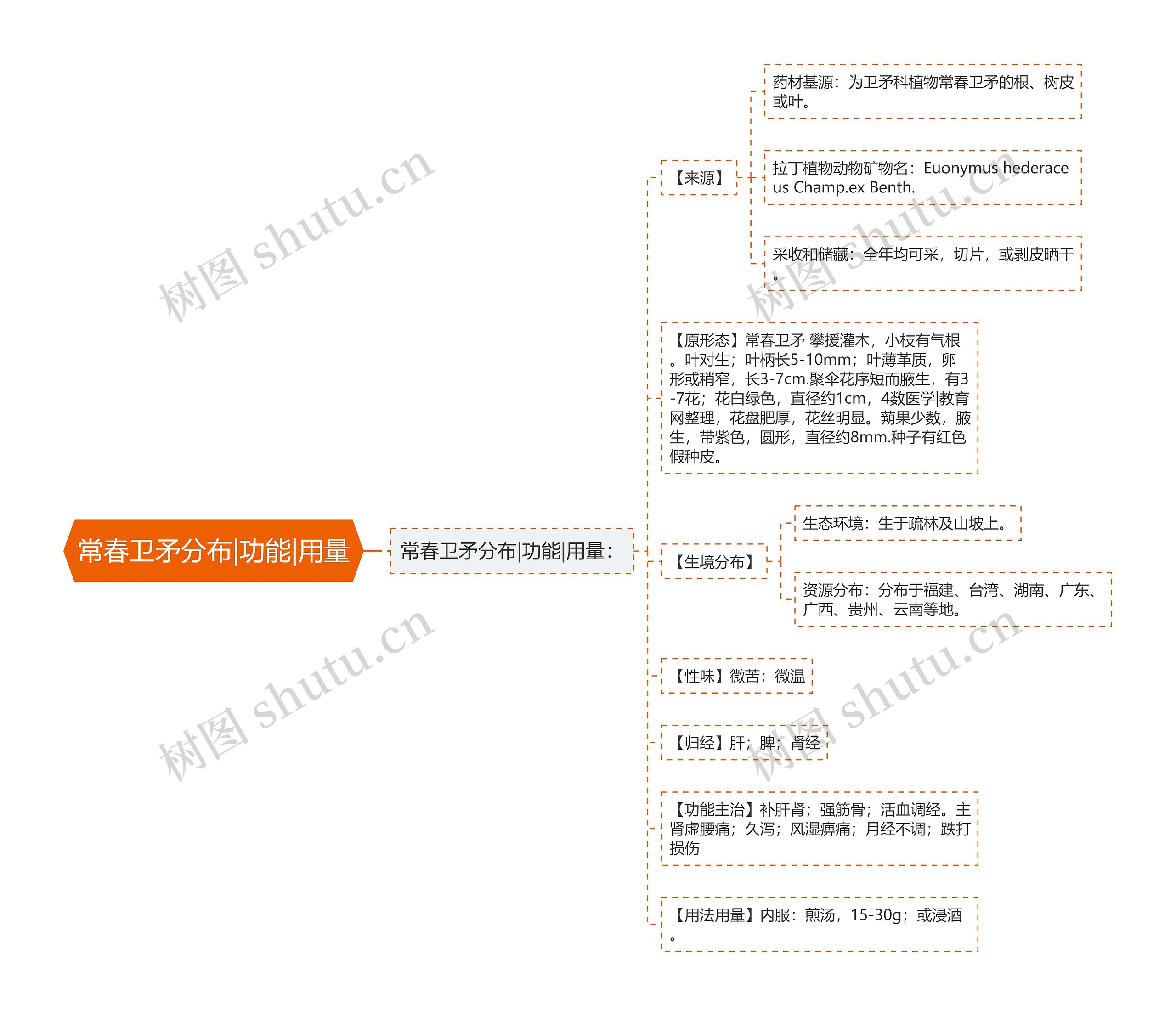 常春卫矛分布|功能|用量