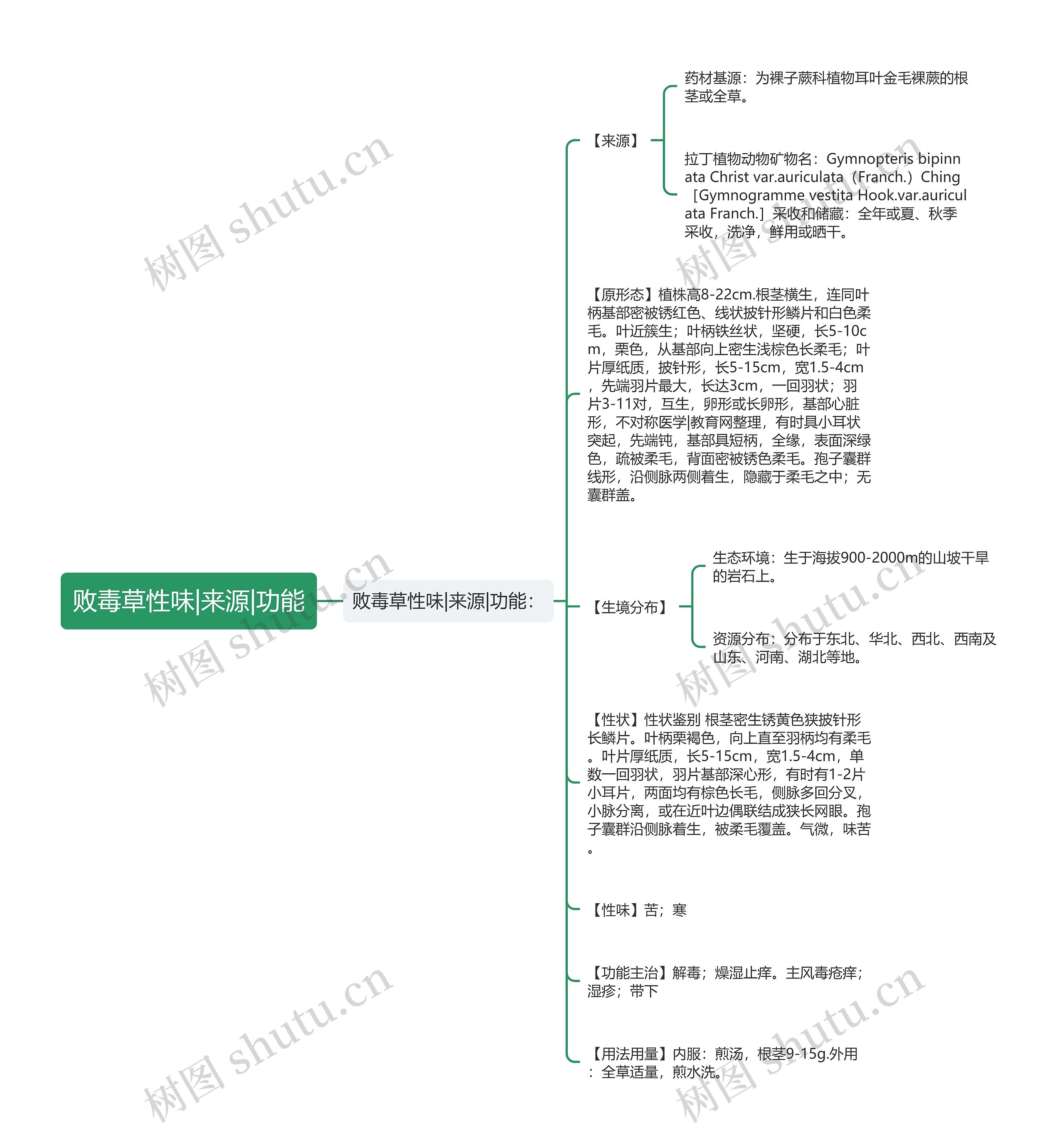 败毒草性味|来源|功能