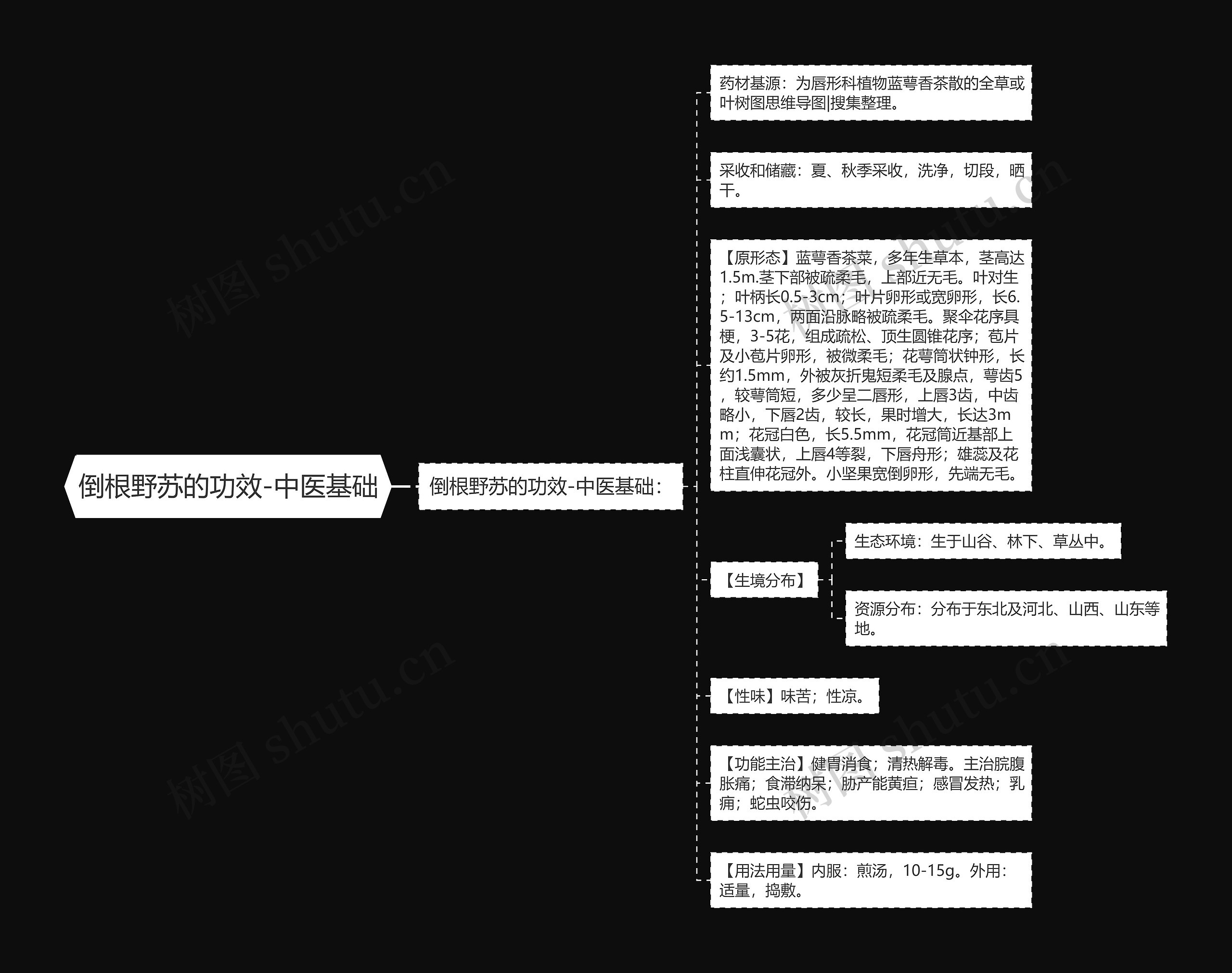 倒根野苏的功效-中医基础 倒根野苏的功效-中医基础