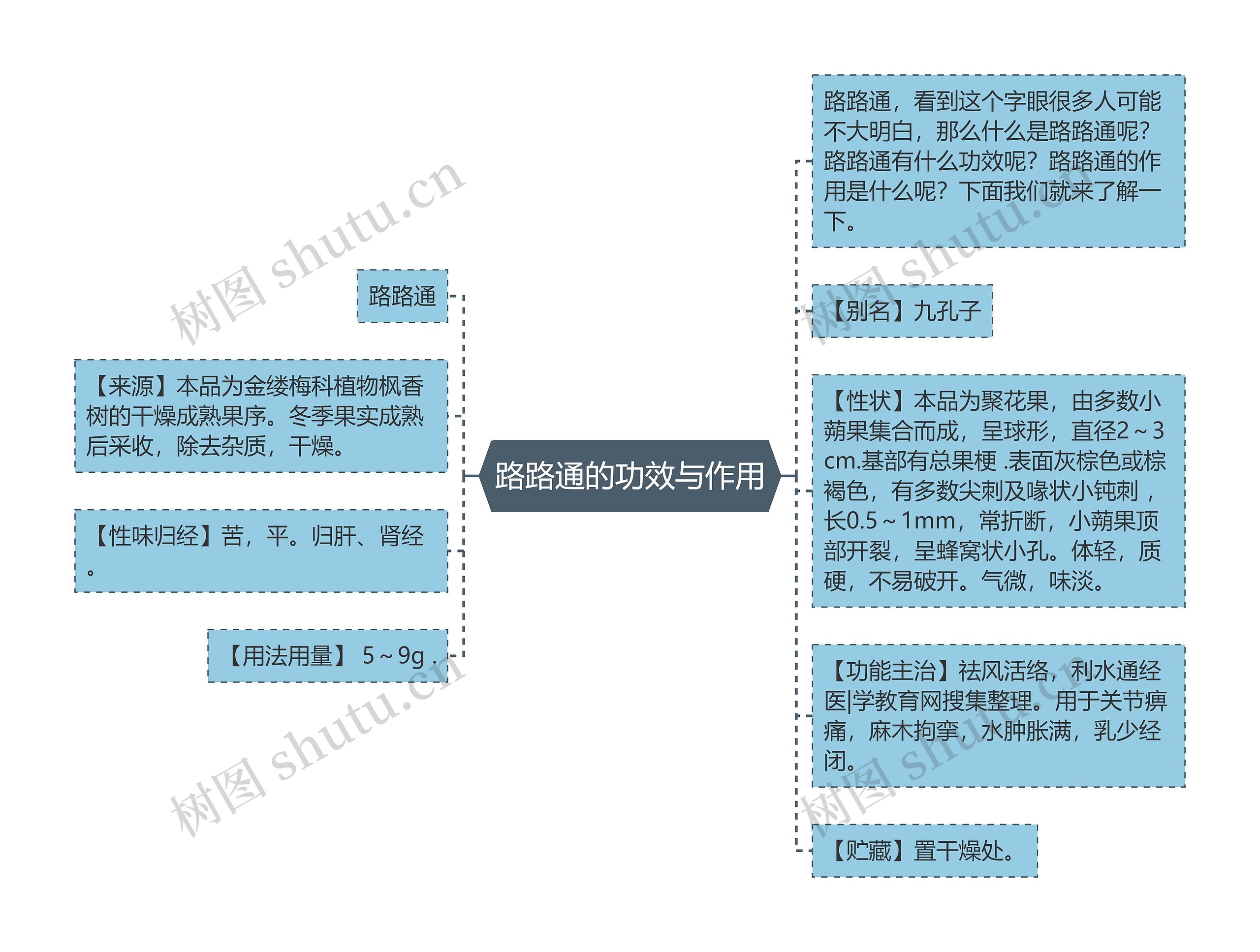 路路通的功效与作用思维导图