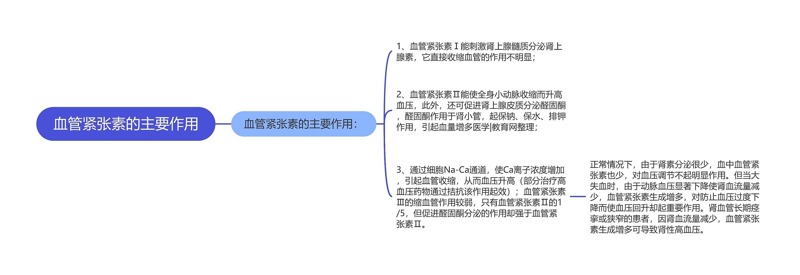 血管紧张素的主要作用思维导图