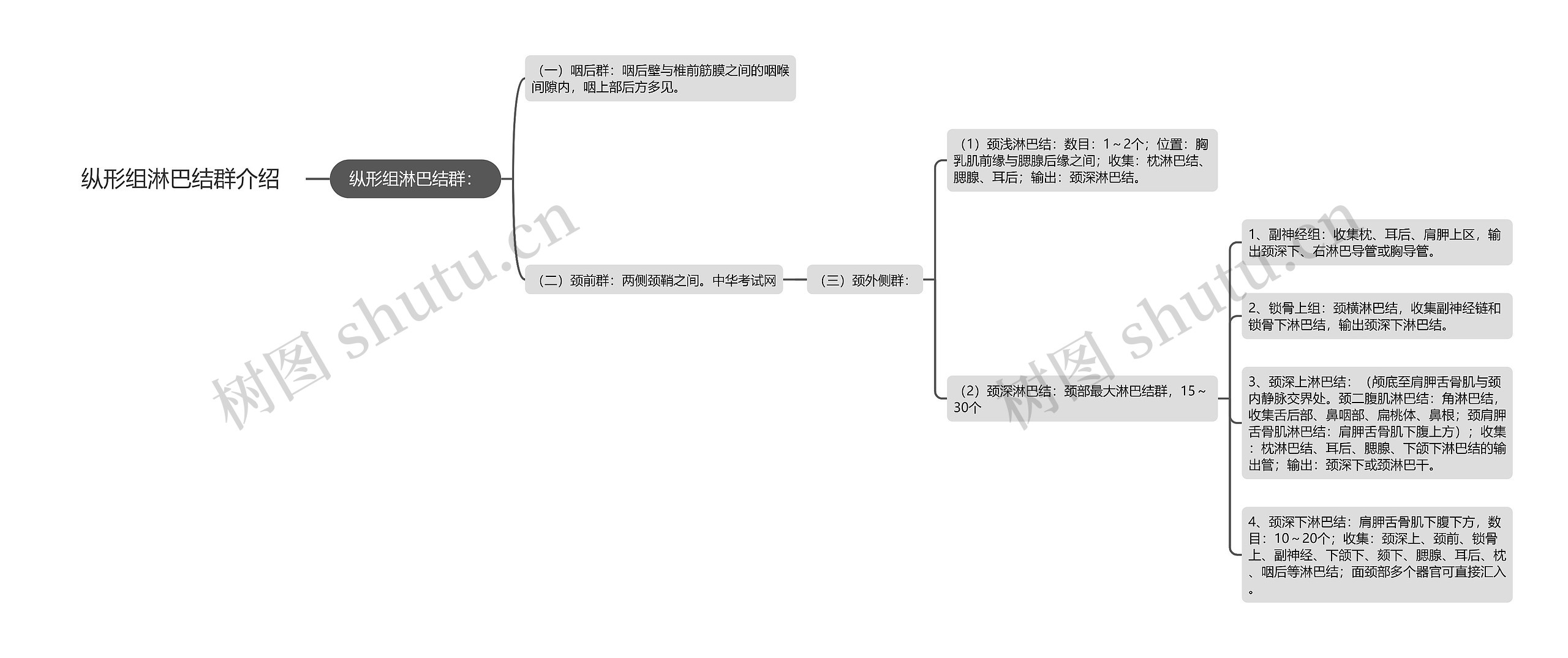 纵形组淋巴结群介绍思维导图